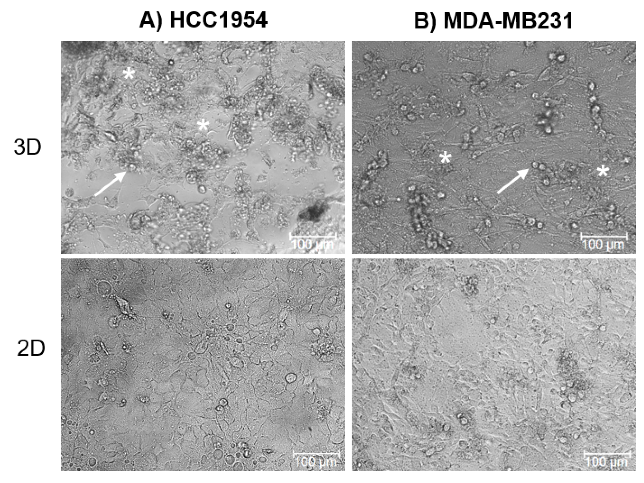 Cancers 12 01043 g001 Cancers 12 01043 g001