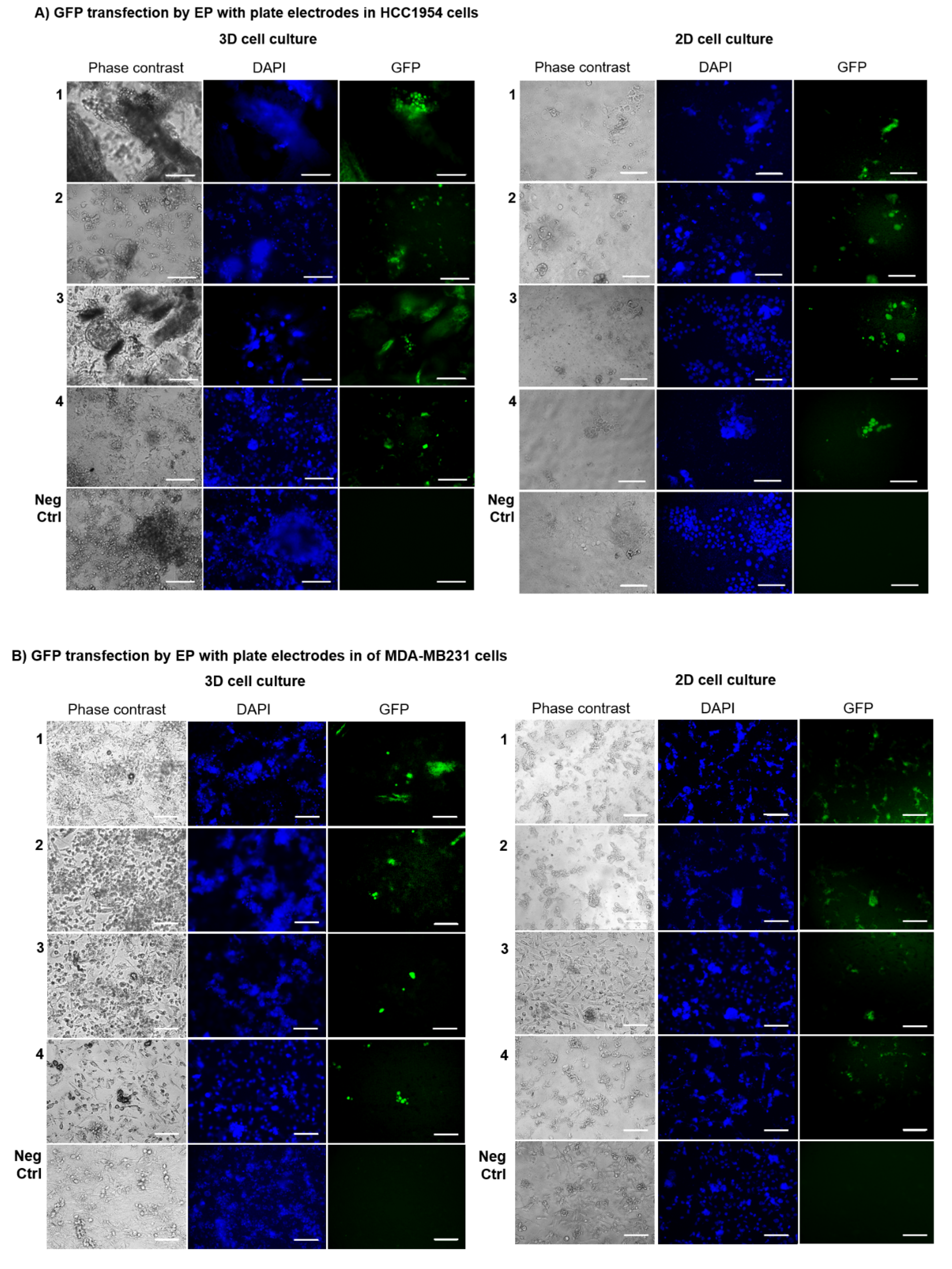 Cancers 12 01043 g005 Cancers 12 01043 g005
