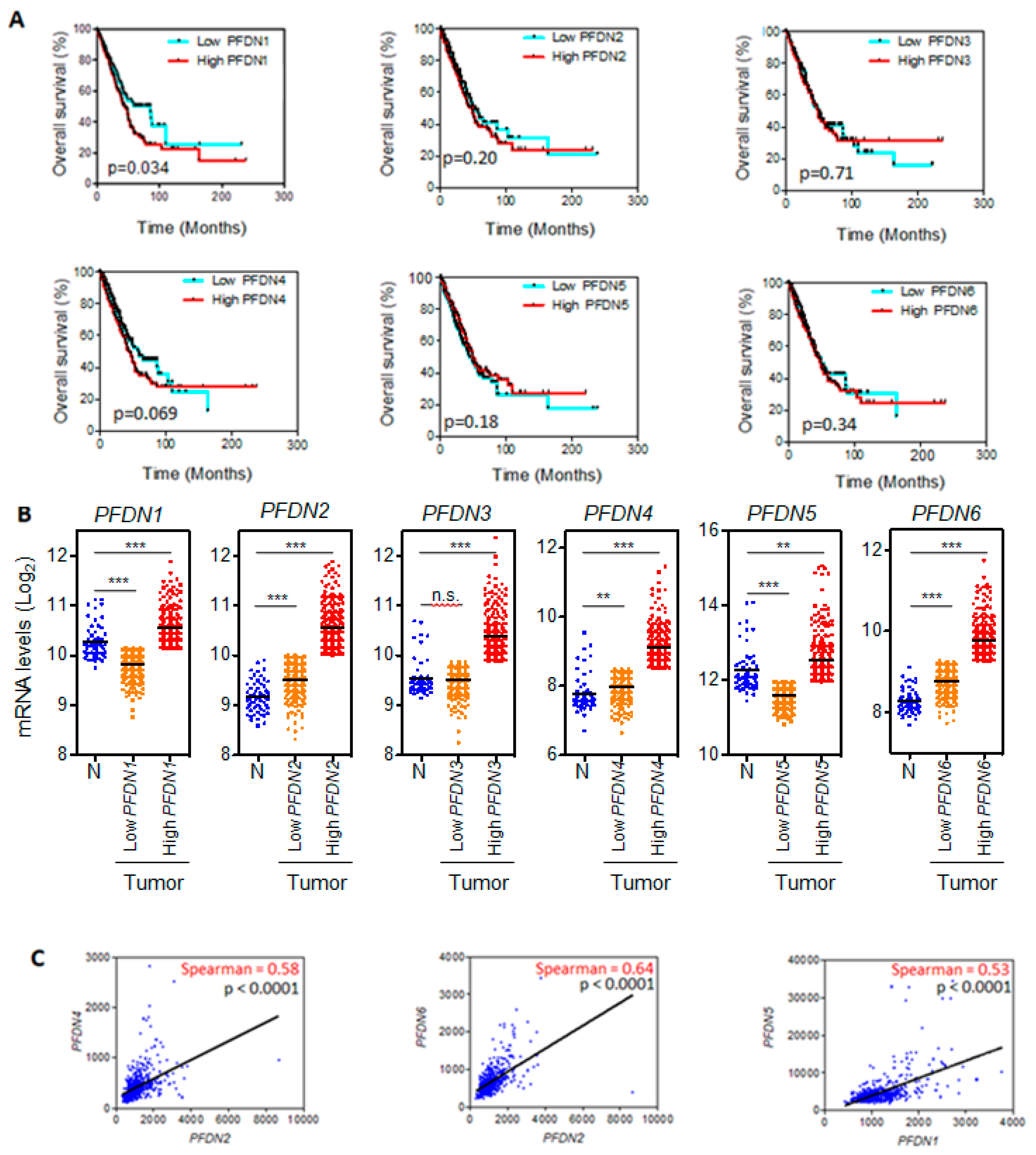 Cancers 12 01052 g001 Cancers 12 01052 g001