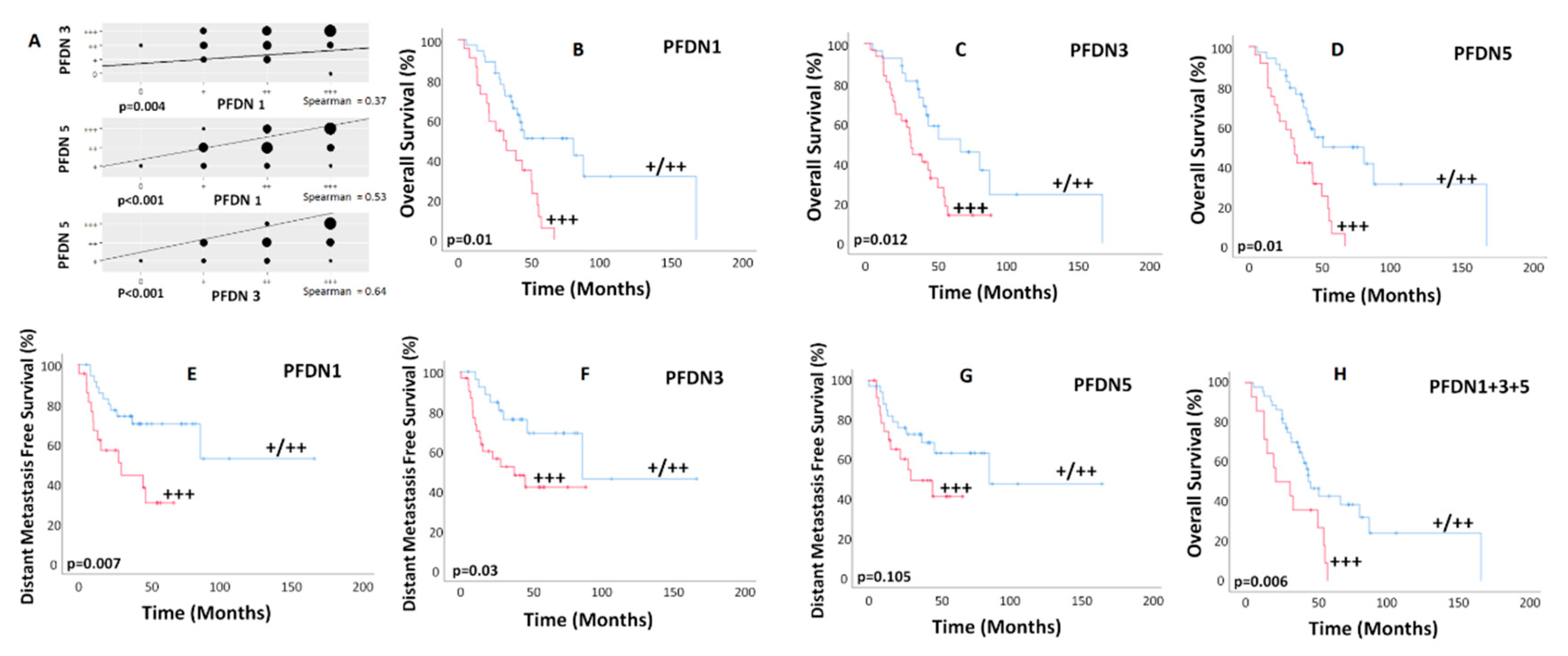 Cancers 12 01052 g002 Cancers 12 01052 g002