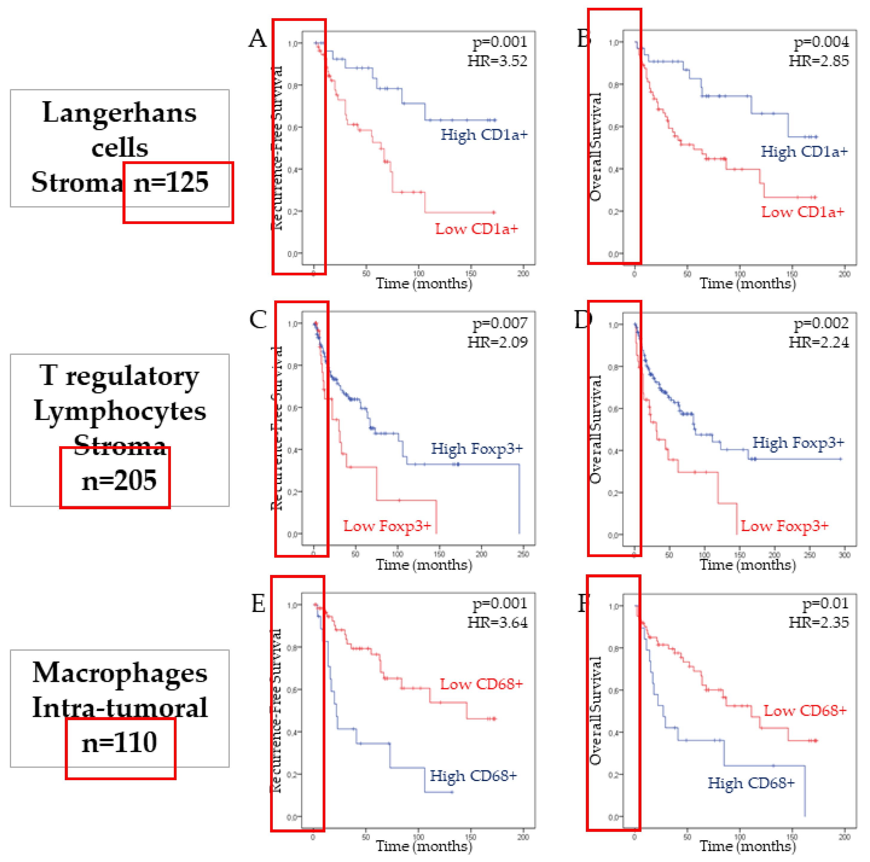 Cancers 12 01060 g002 Cancers 12 01060 g002