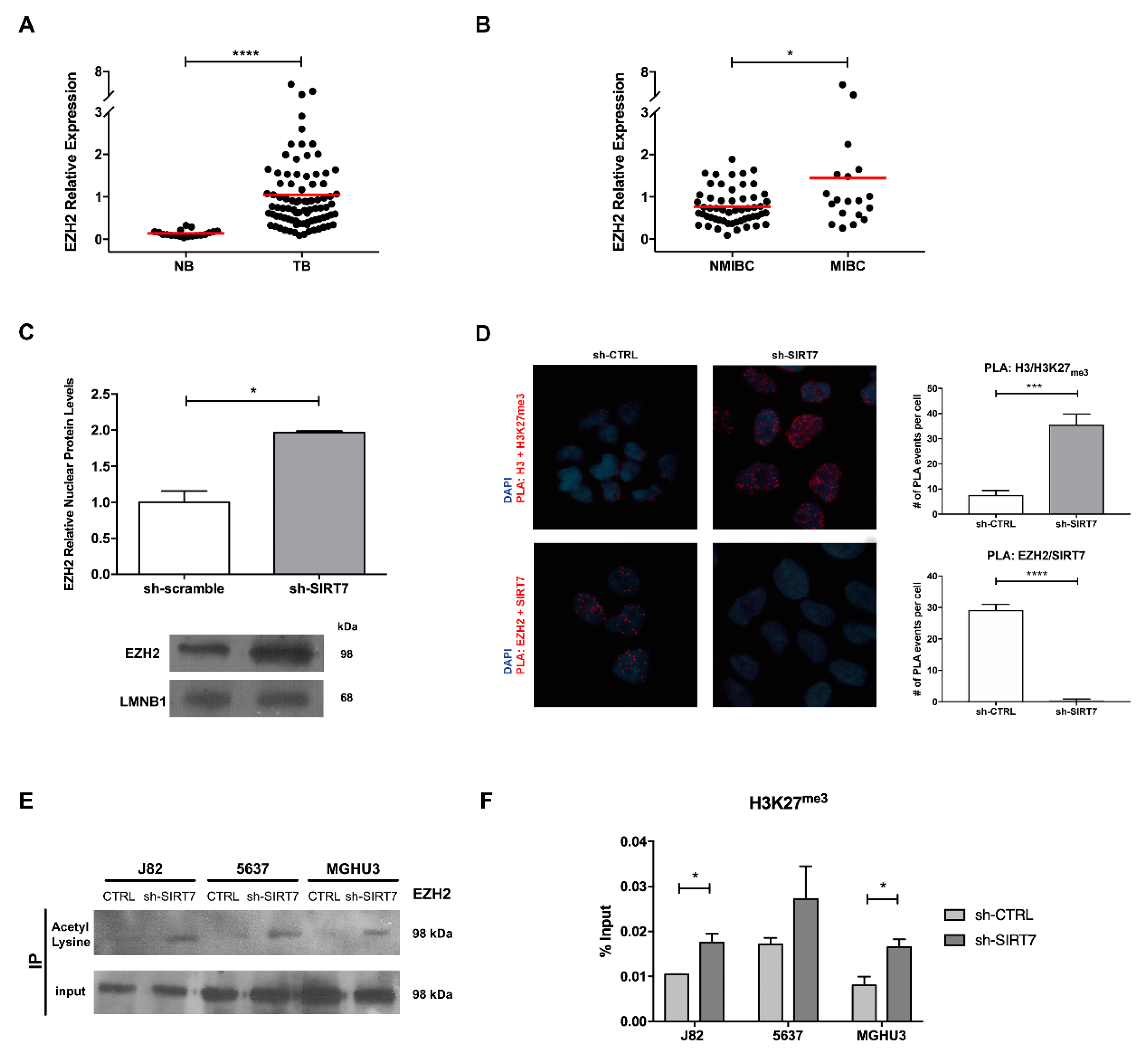 Cancers 12 01066 g005