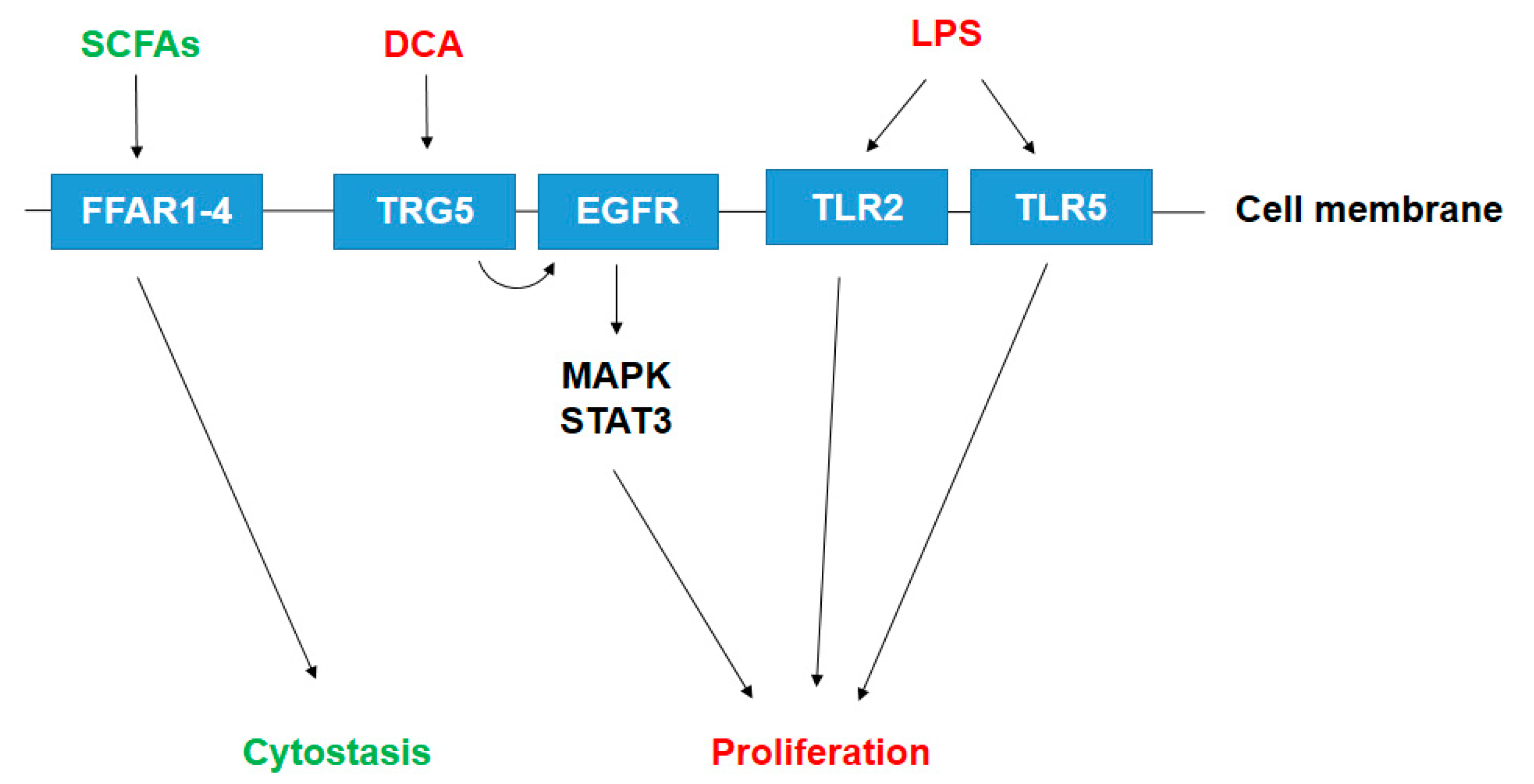 Cancers 12 01068 g001
