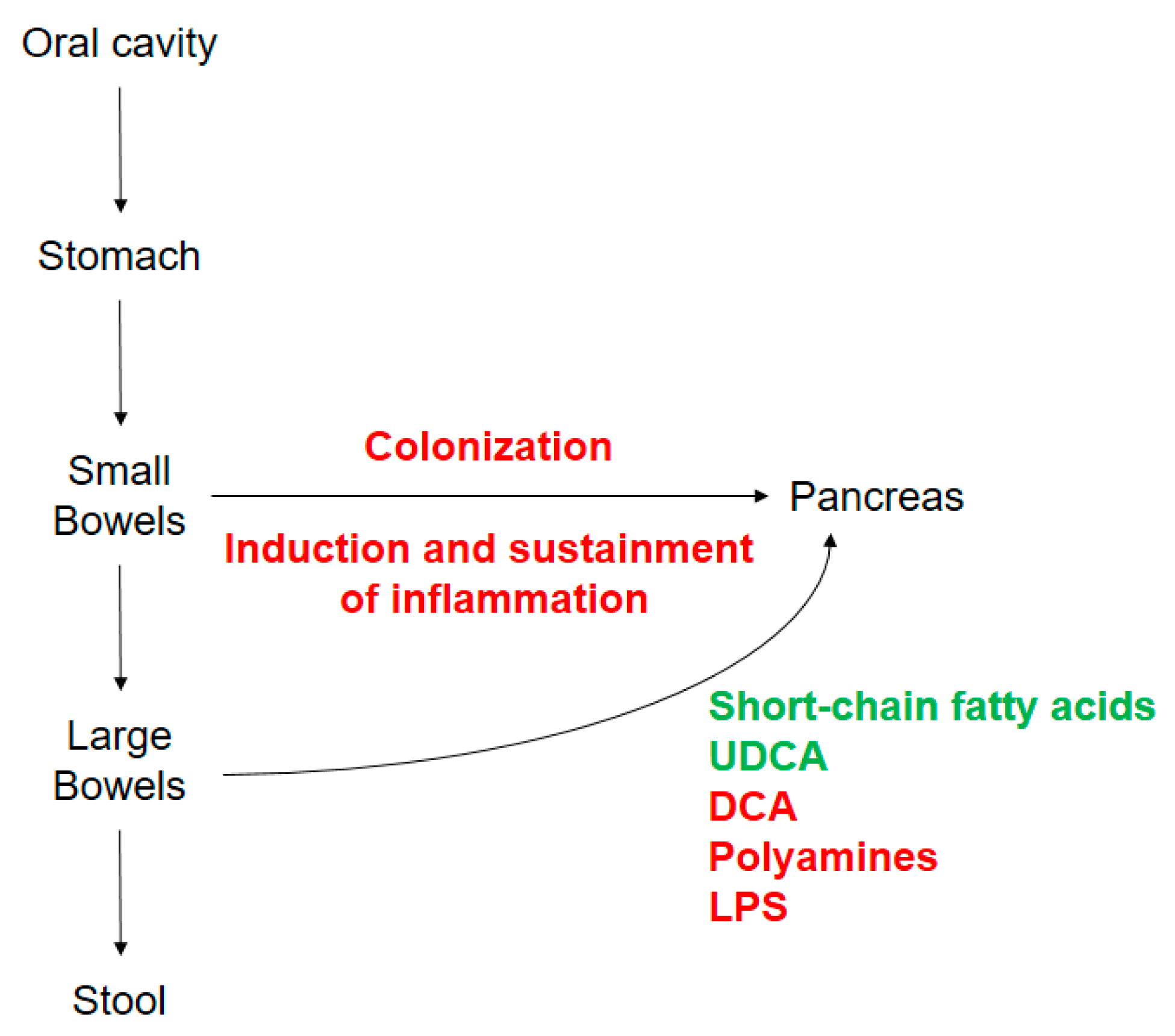 Cancers 12 01068 g002