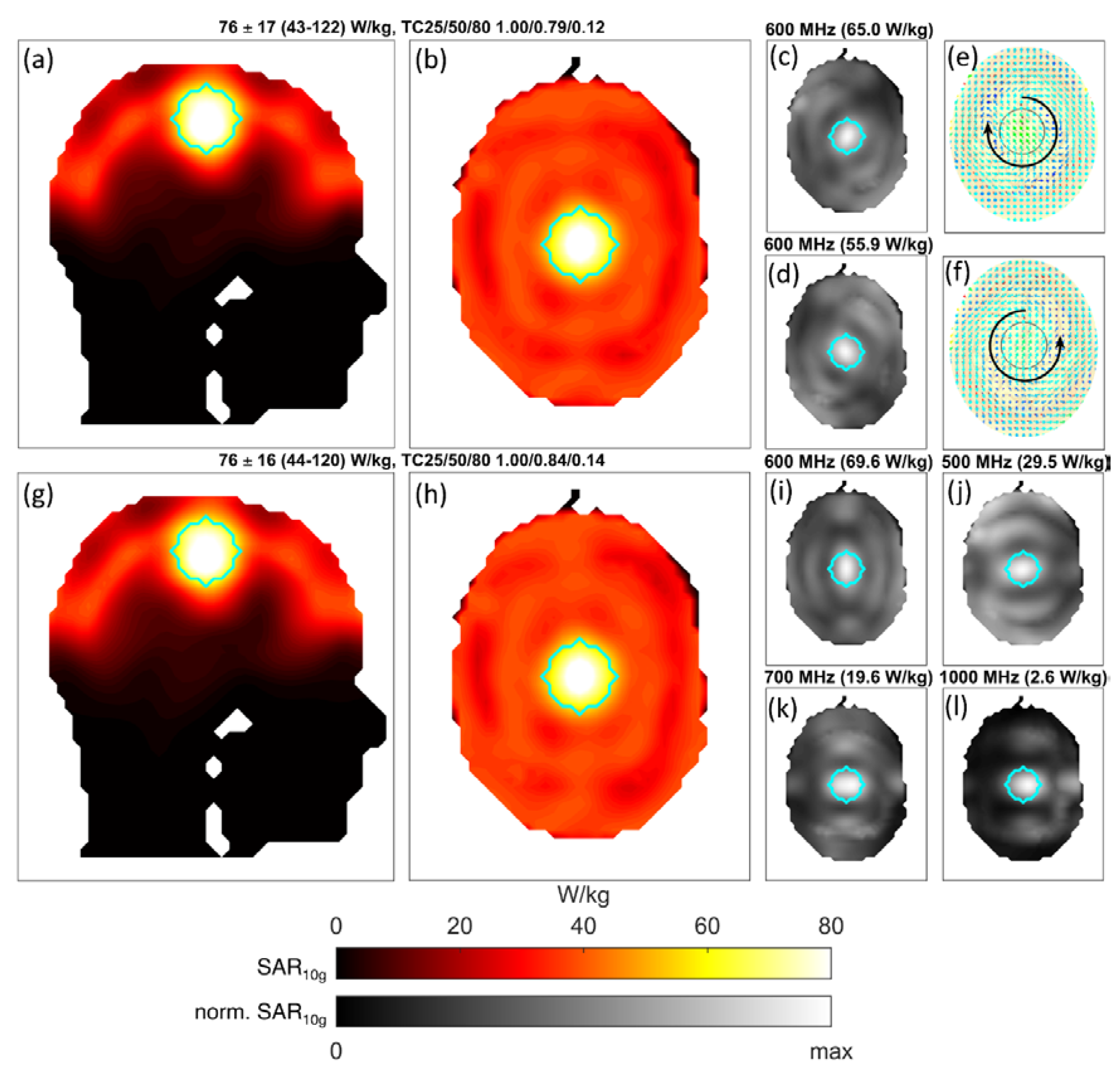 Cancers 12 01072 g006 Cancers 12 01072 g006
