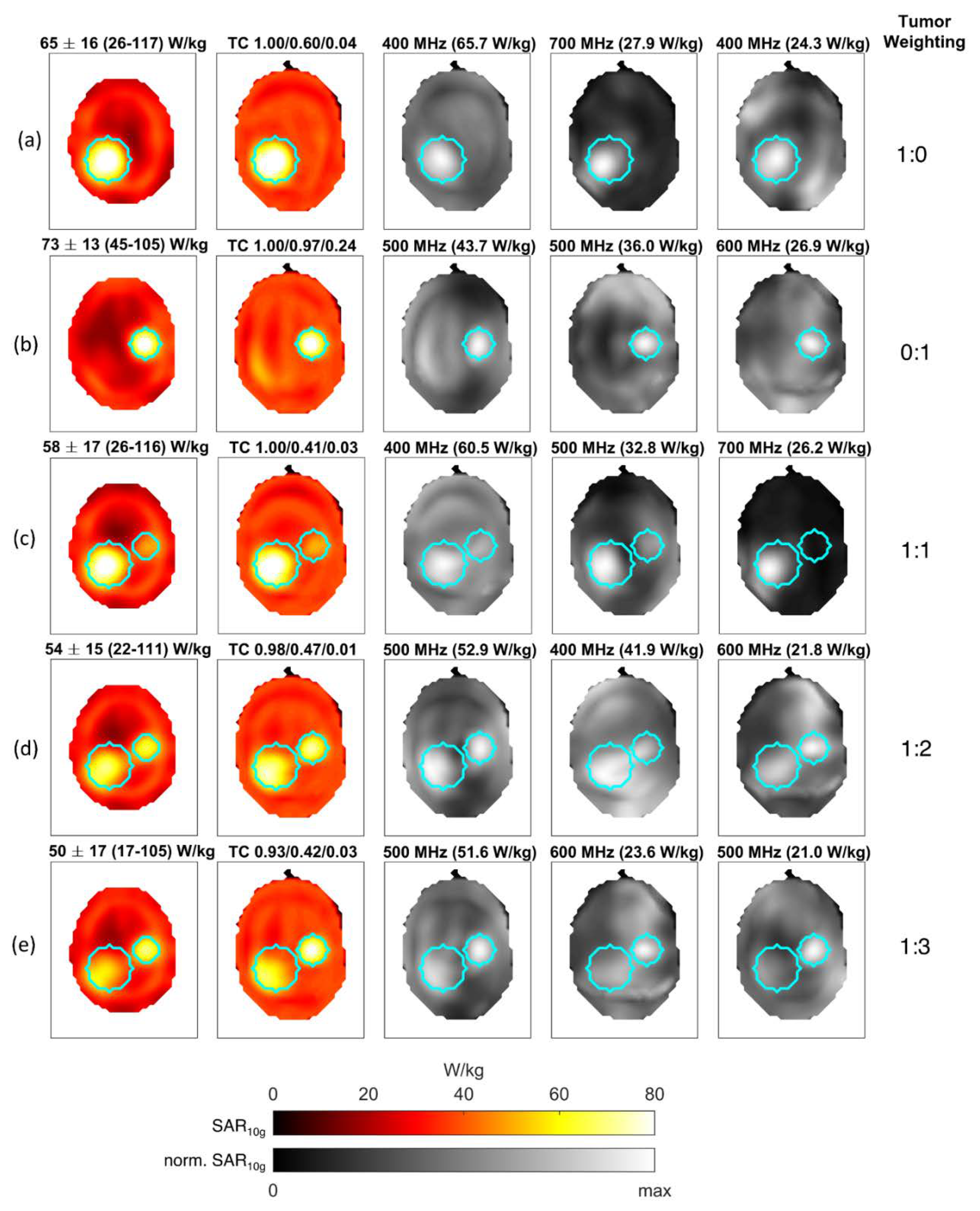 Cancers 12 01072 g007 Cancers 12 01072 g007
