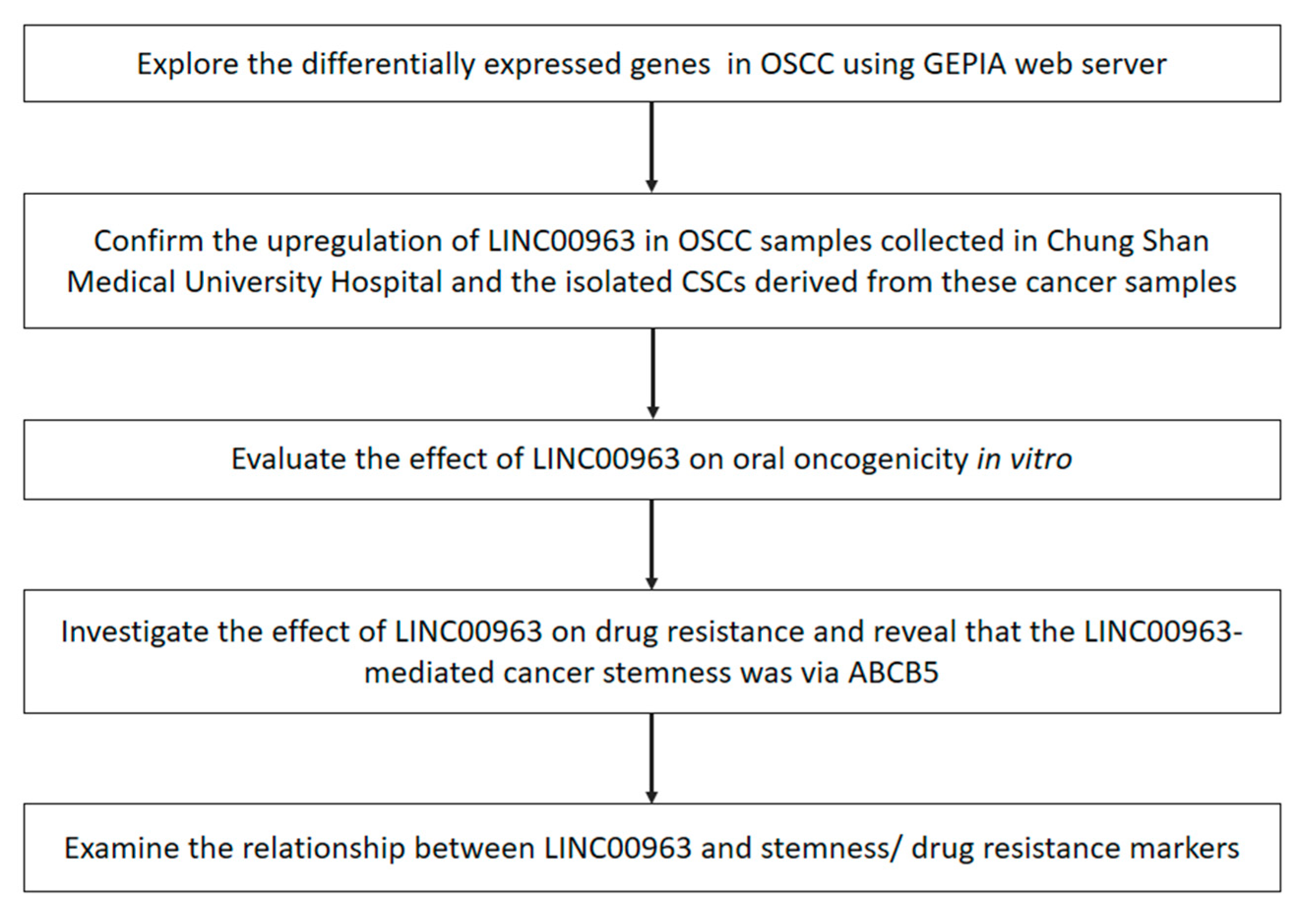 Cancers 12 01073 g001