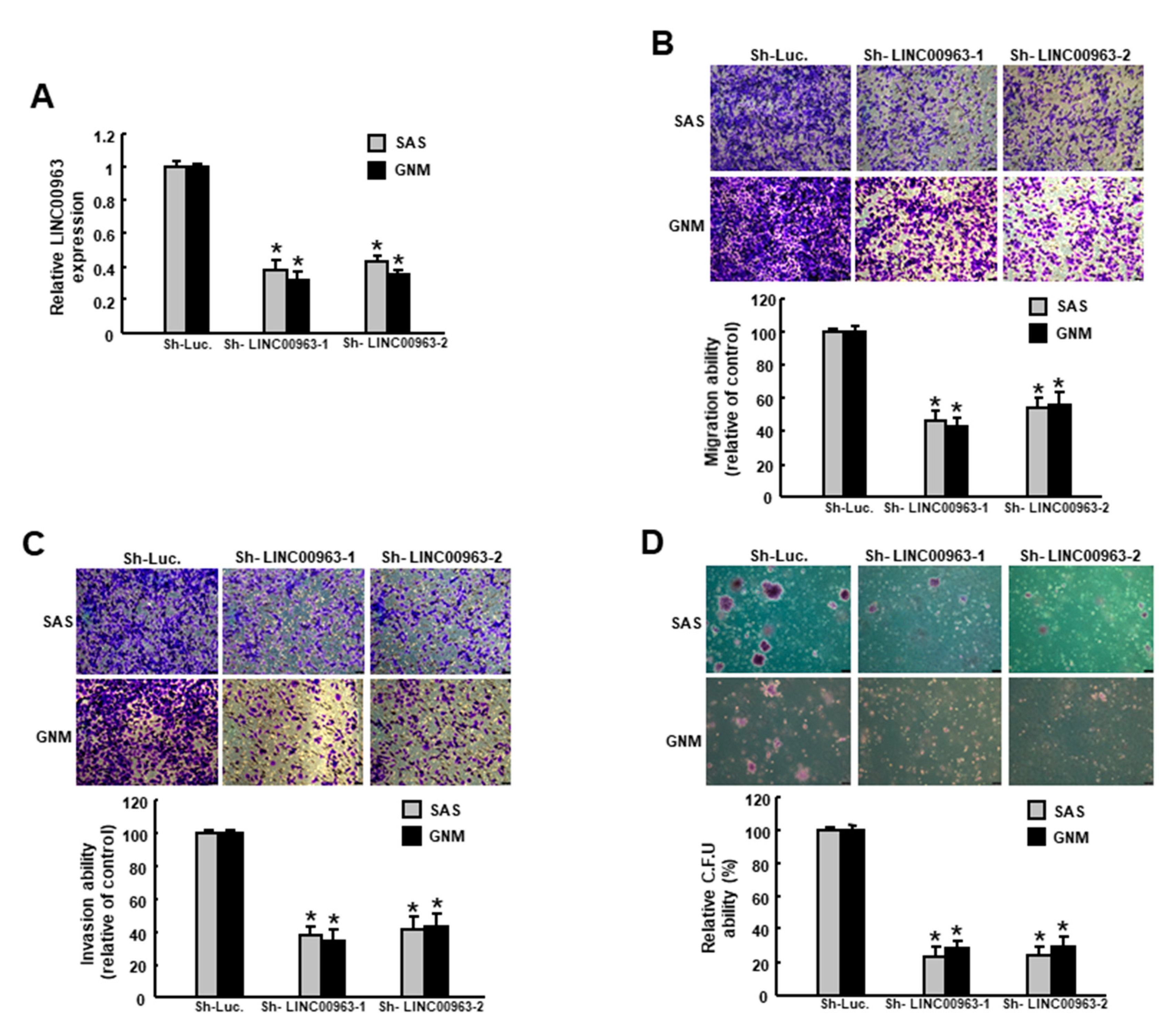 Cancers 12 01073 g003