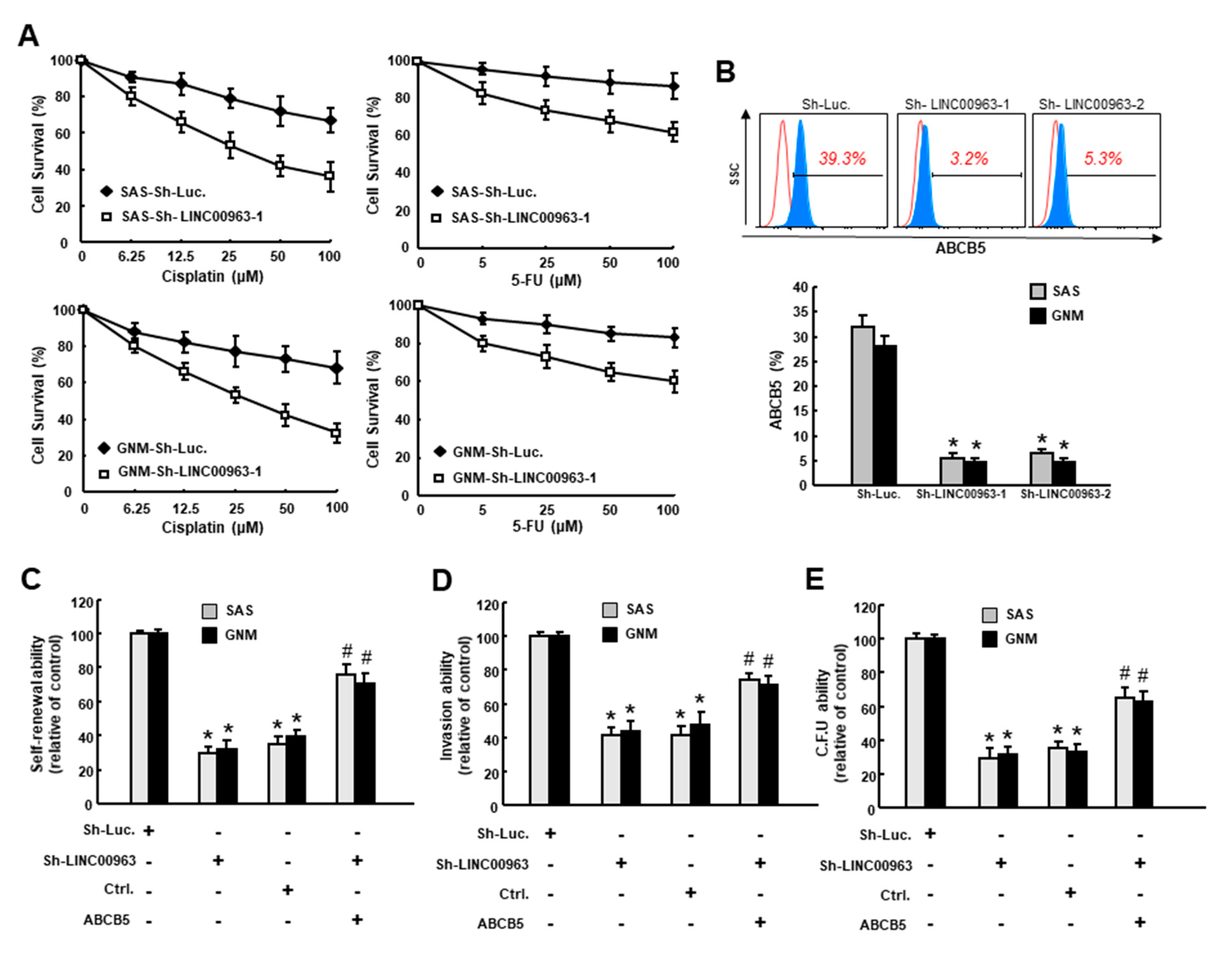 Cancers 12 01073 g005