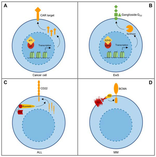 Cancers Free FullText Heterogeneity of Antigen