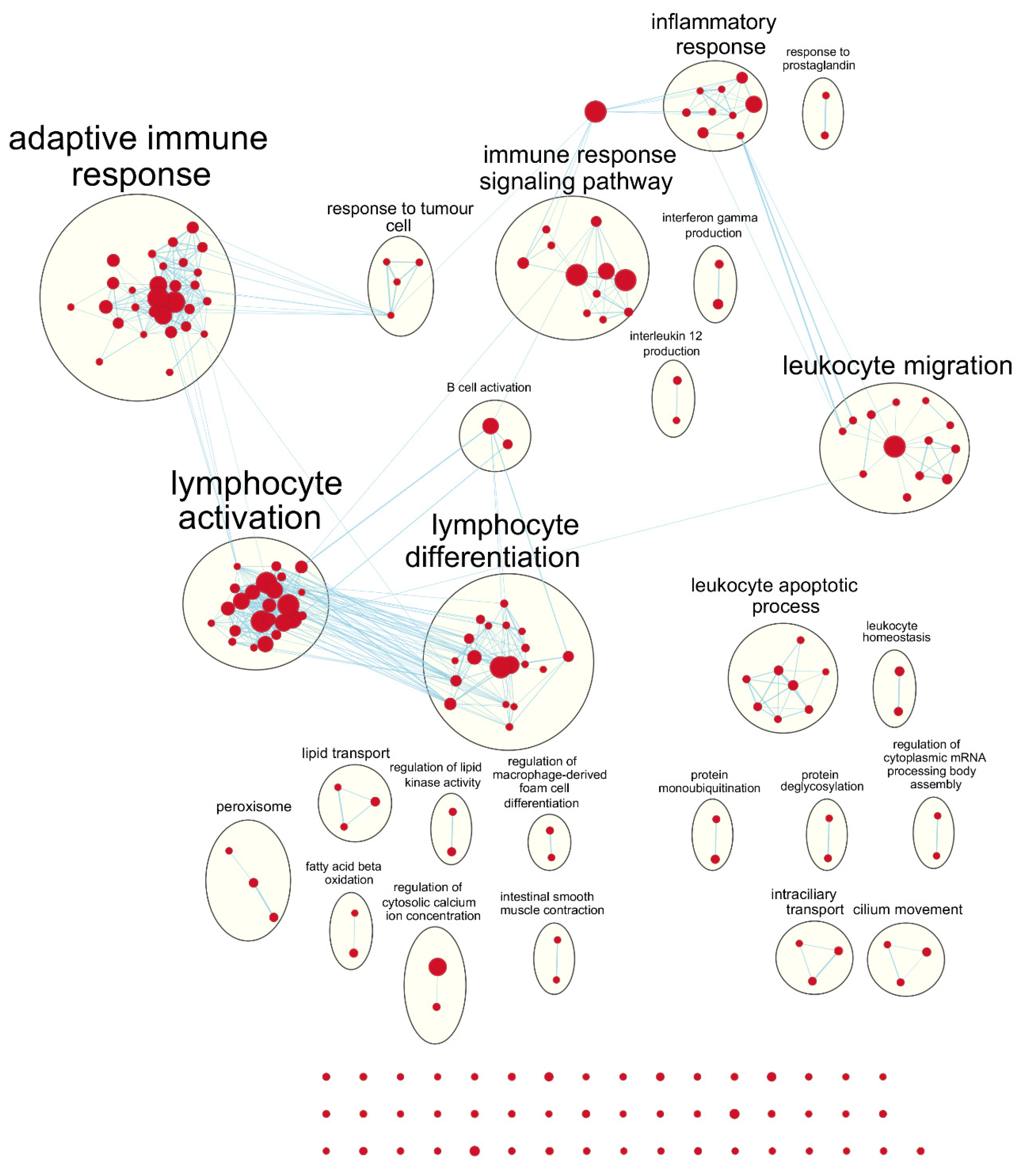 Cancers 12 01076 g005