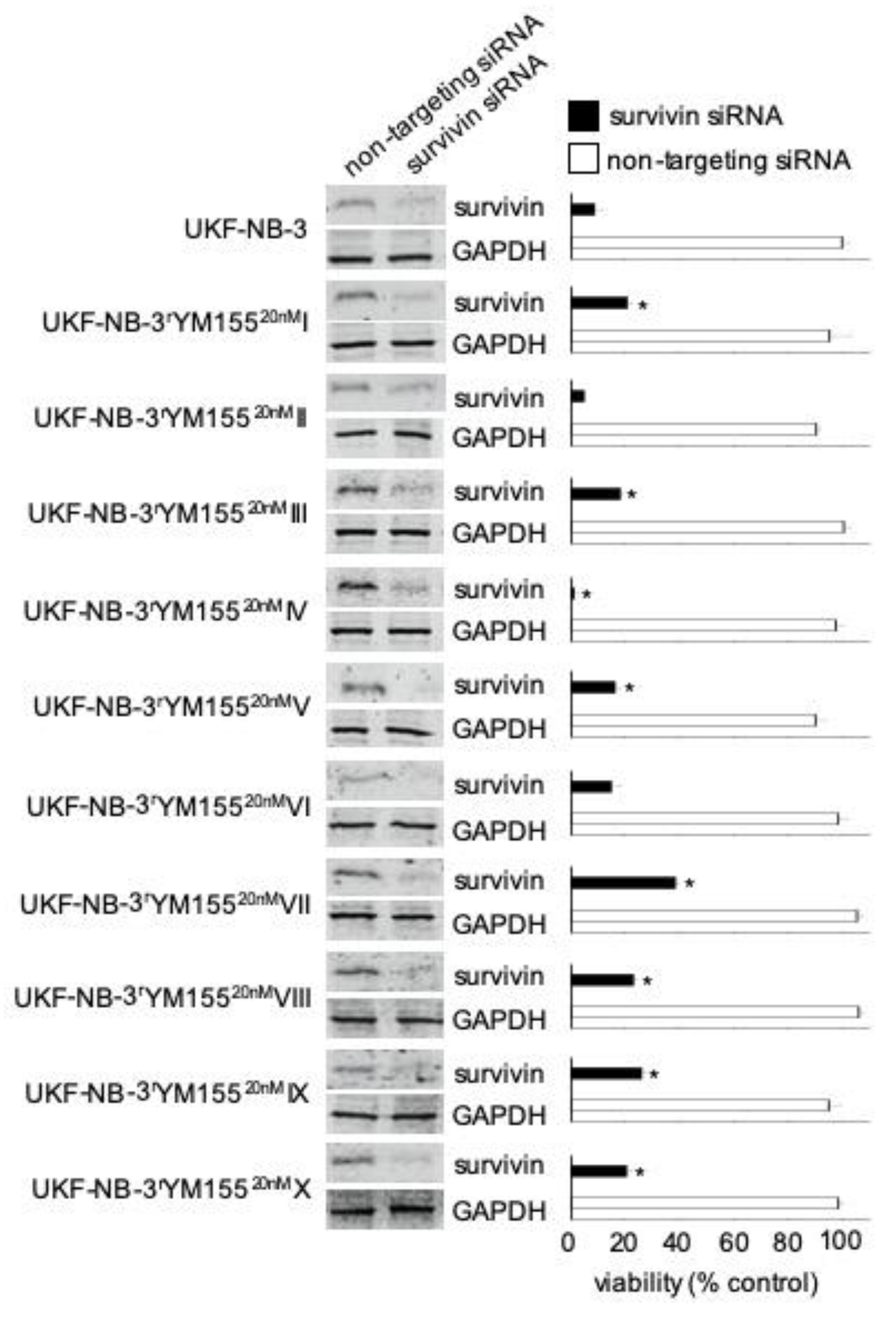 Cancers 12 01080 g004 Cancers 12 01080 g004