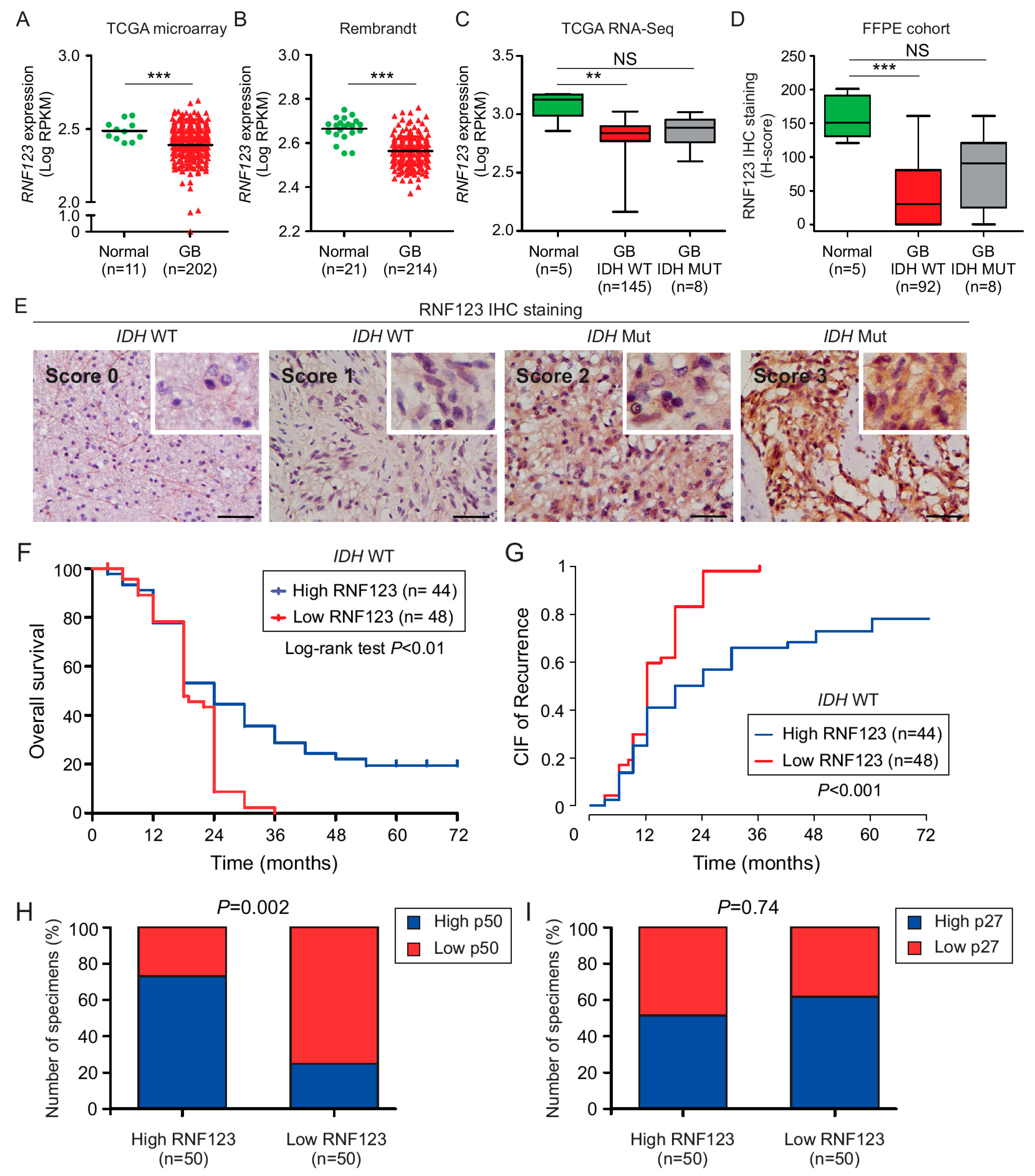 Cancers 12 01081 g001 Cancers 12 01081 g001