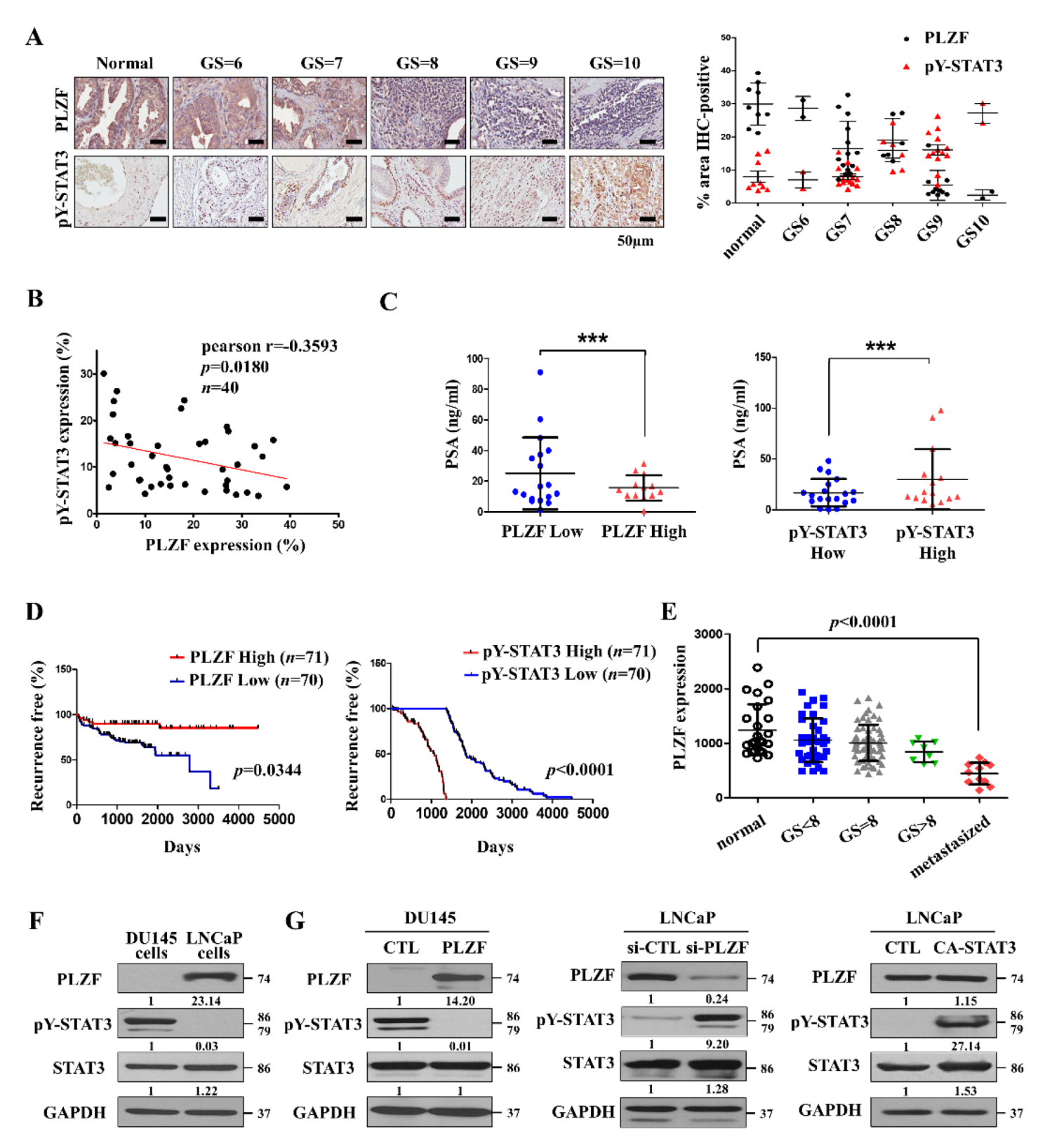 Cancers 12 01083 g001 Cancers 12 01083 g001