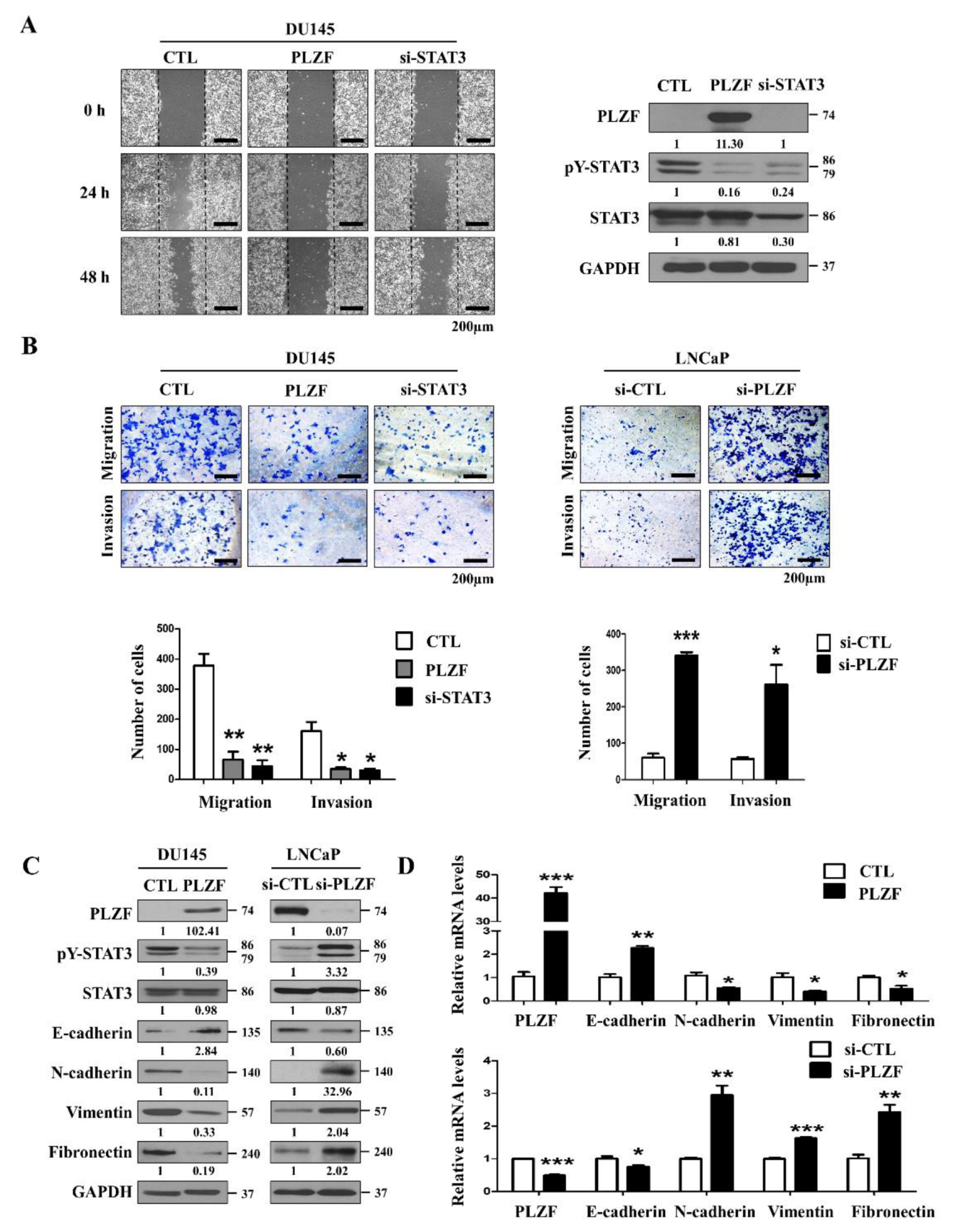 Cancers 12 01083 g003 Cancers 12 01083 g003