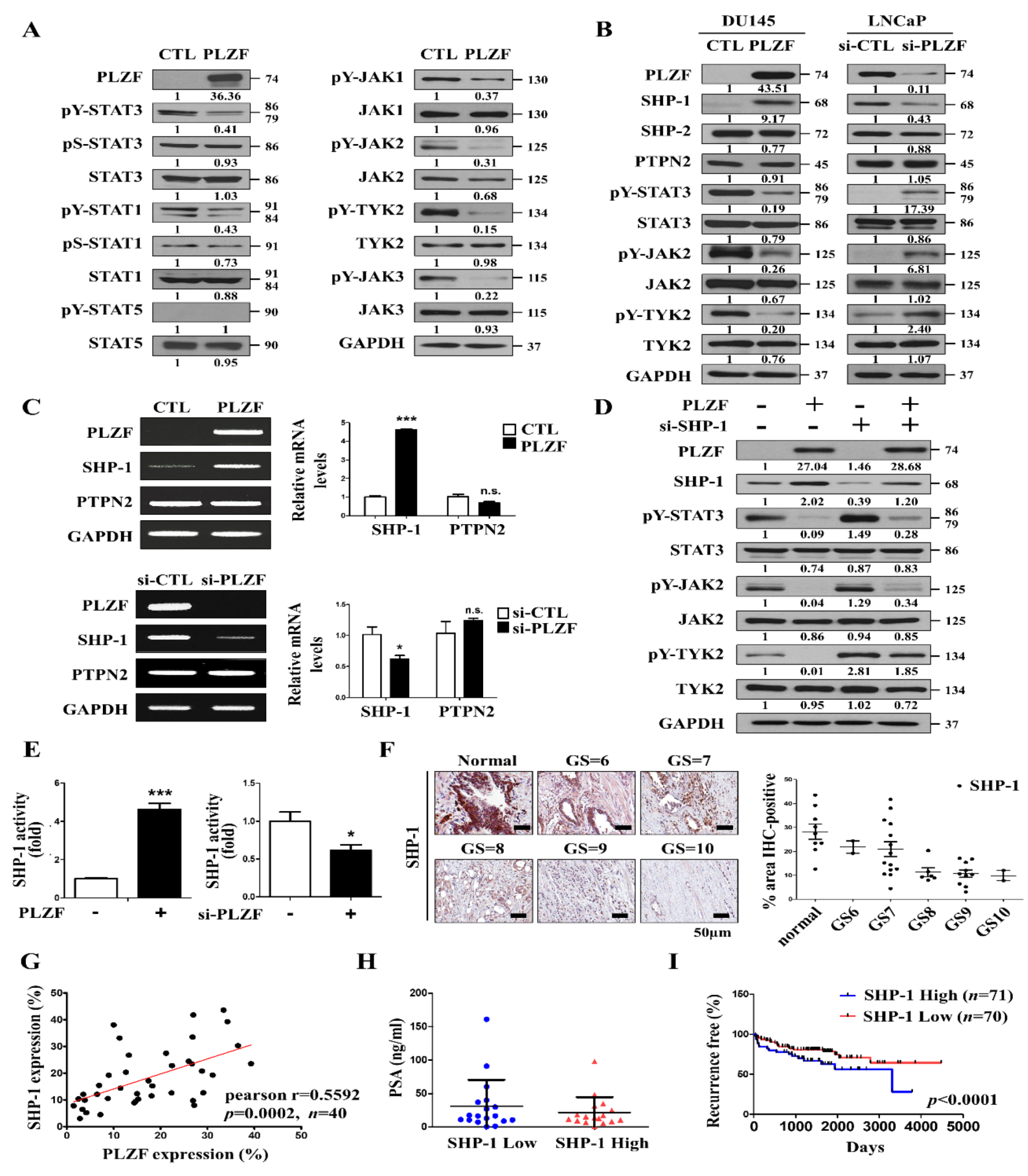 Cancers 12 01083 g004 Cancers 12 01083 g004