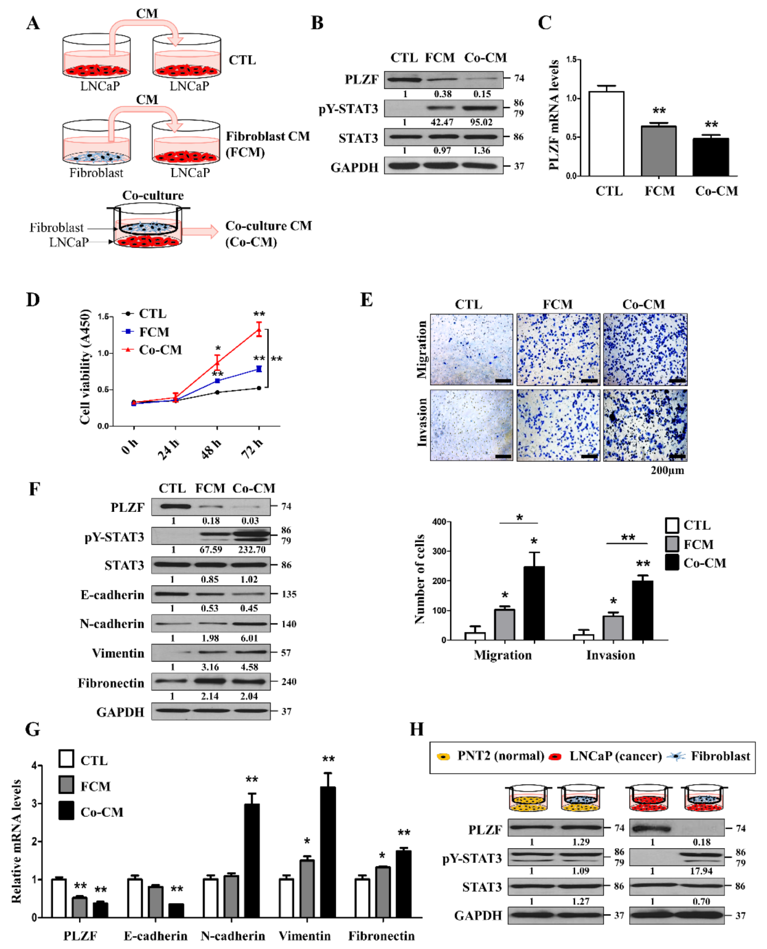 Cancers 12 01083 g005 Cancers 12 01083 g005