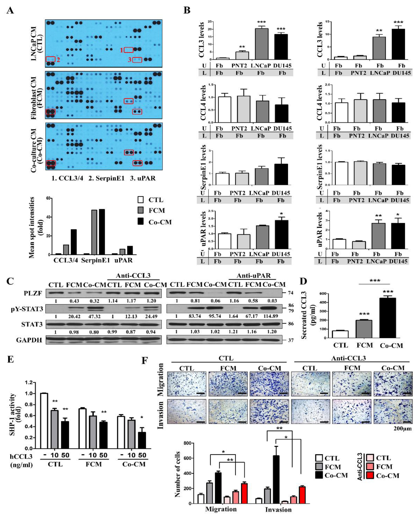 Cancers 12 01083 g006 Cancers 12 01083 g006