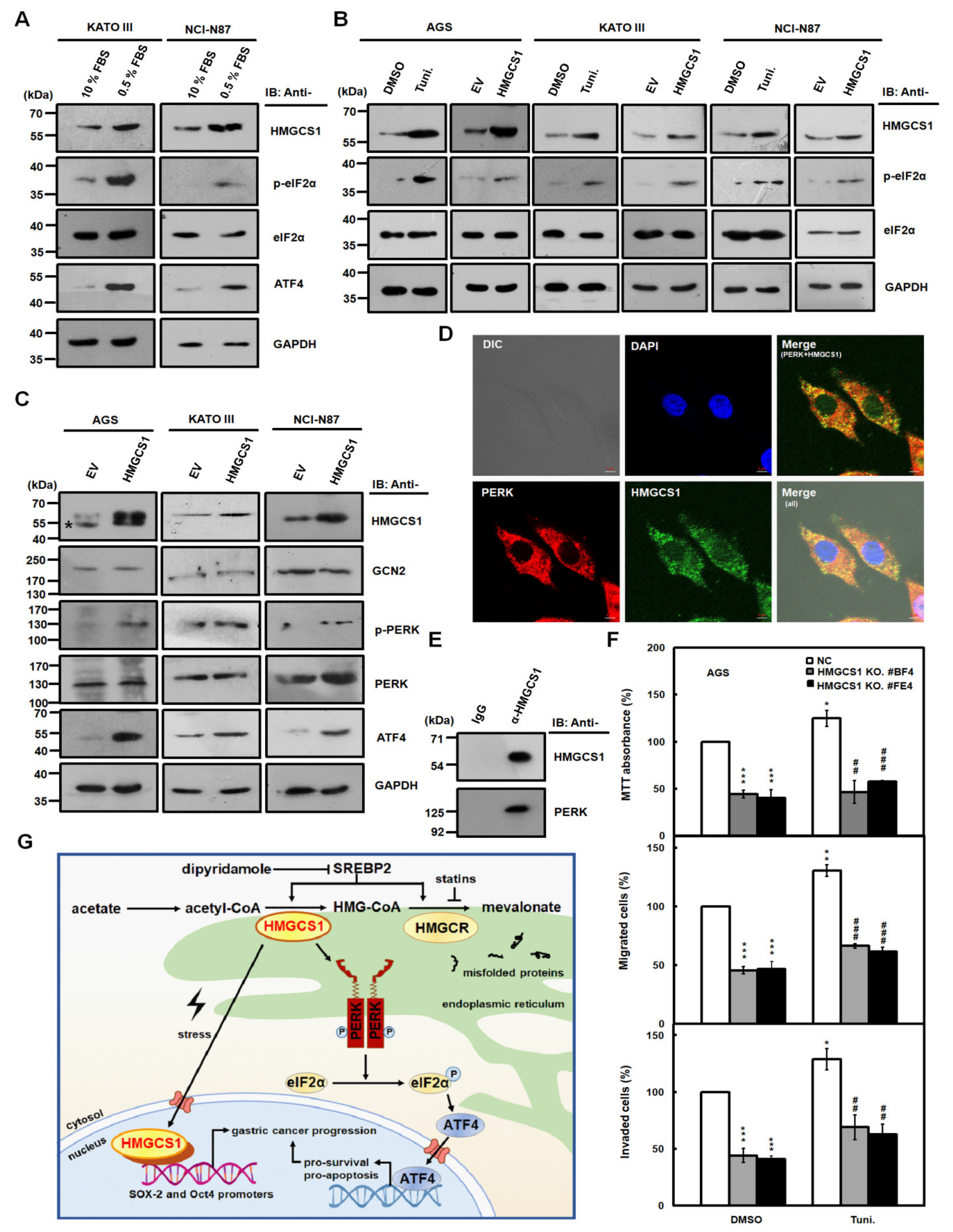 Cancers 12 01088 g007 Cancers 12 01088 g007