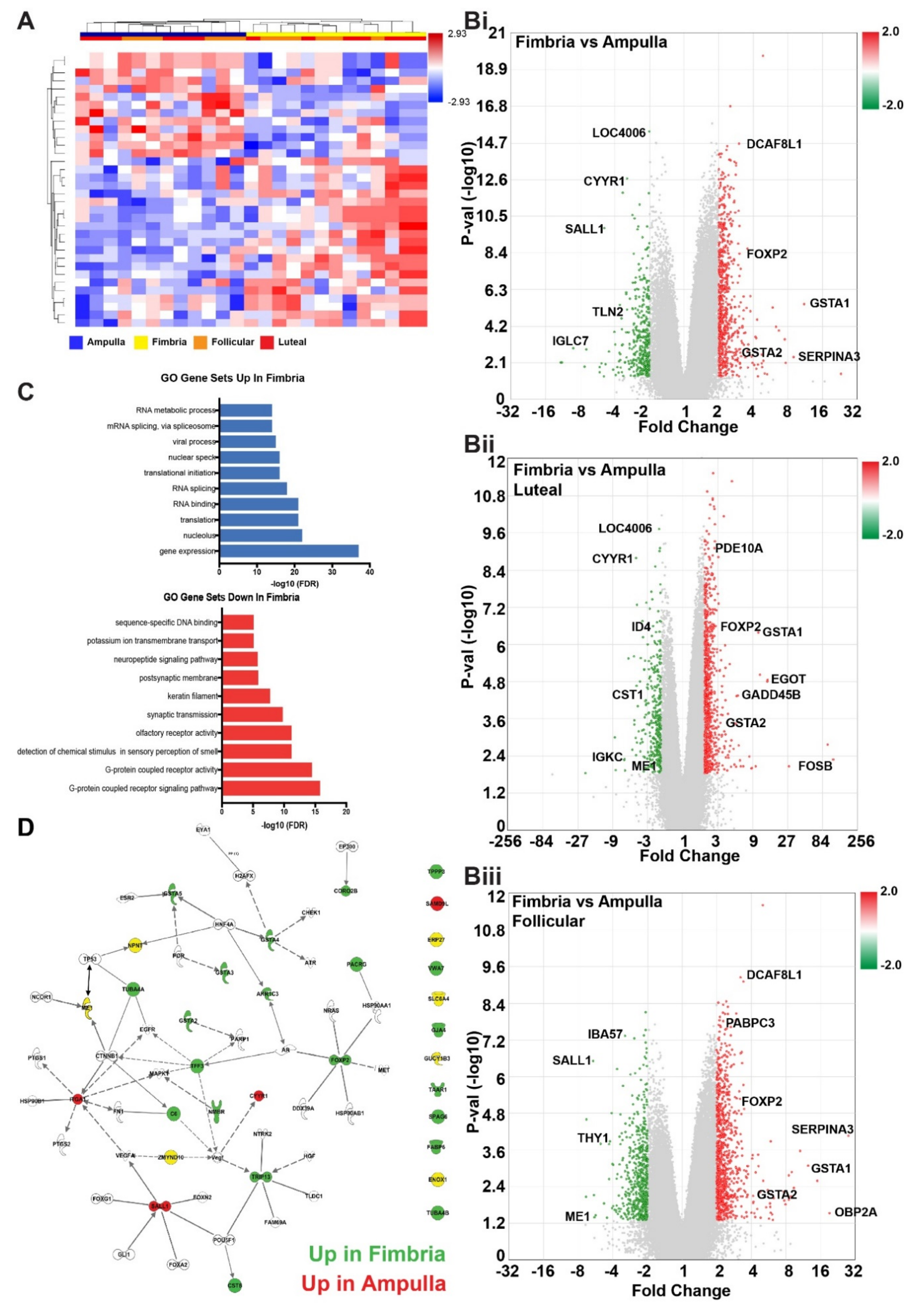 Cancers 12 01090 g003 Cancers 12 01090 g003