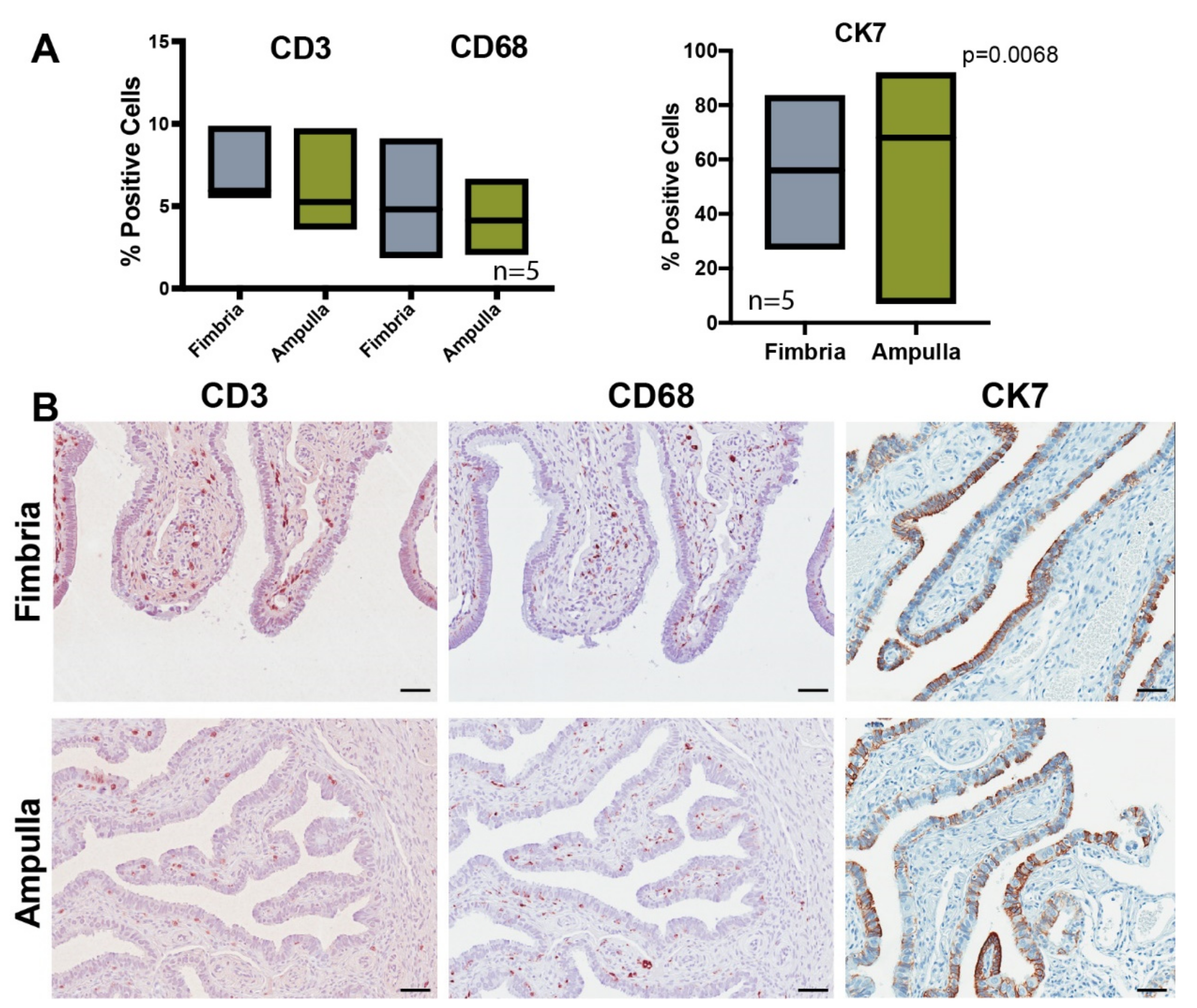 Cancers 12 01090 g005 Cancers 12 01090 g005