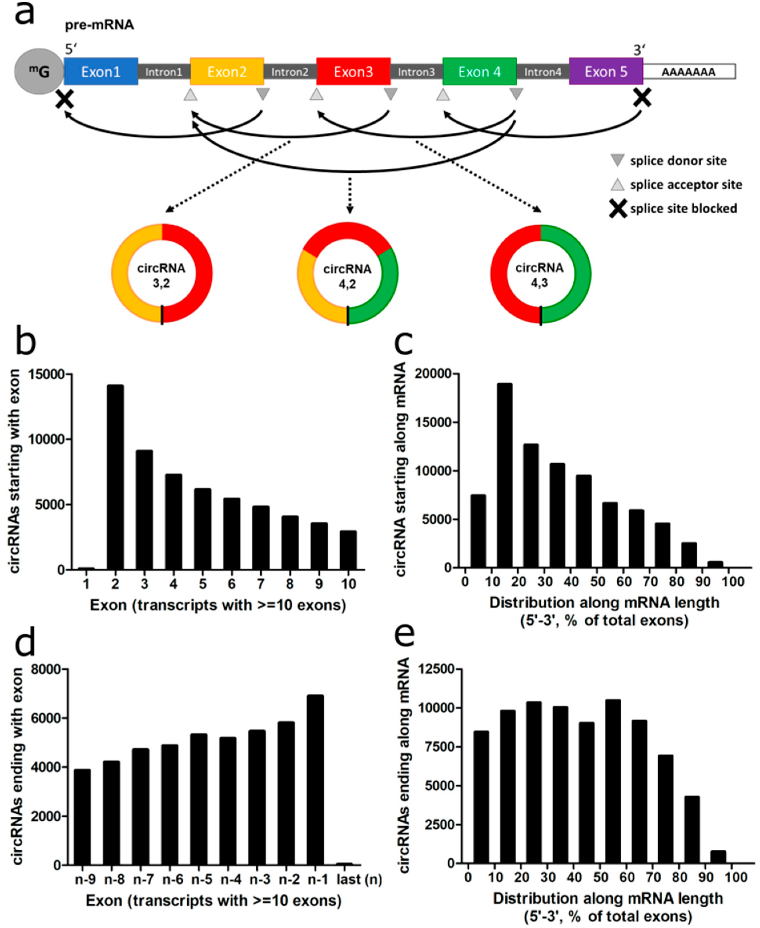 Cancers 12 01091 g003