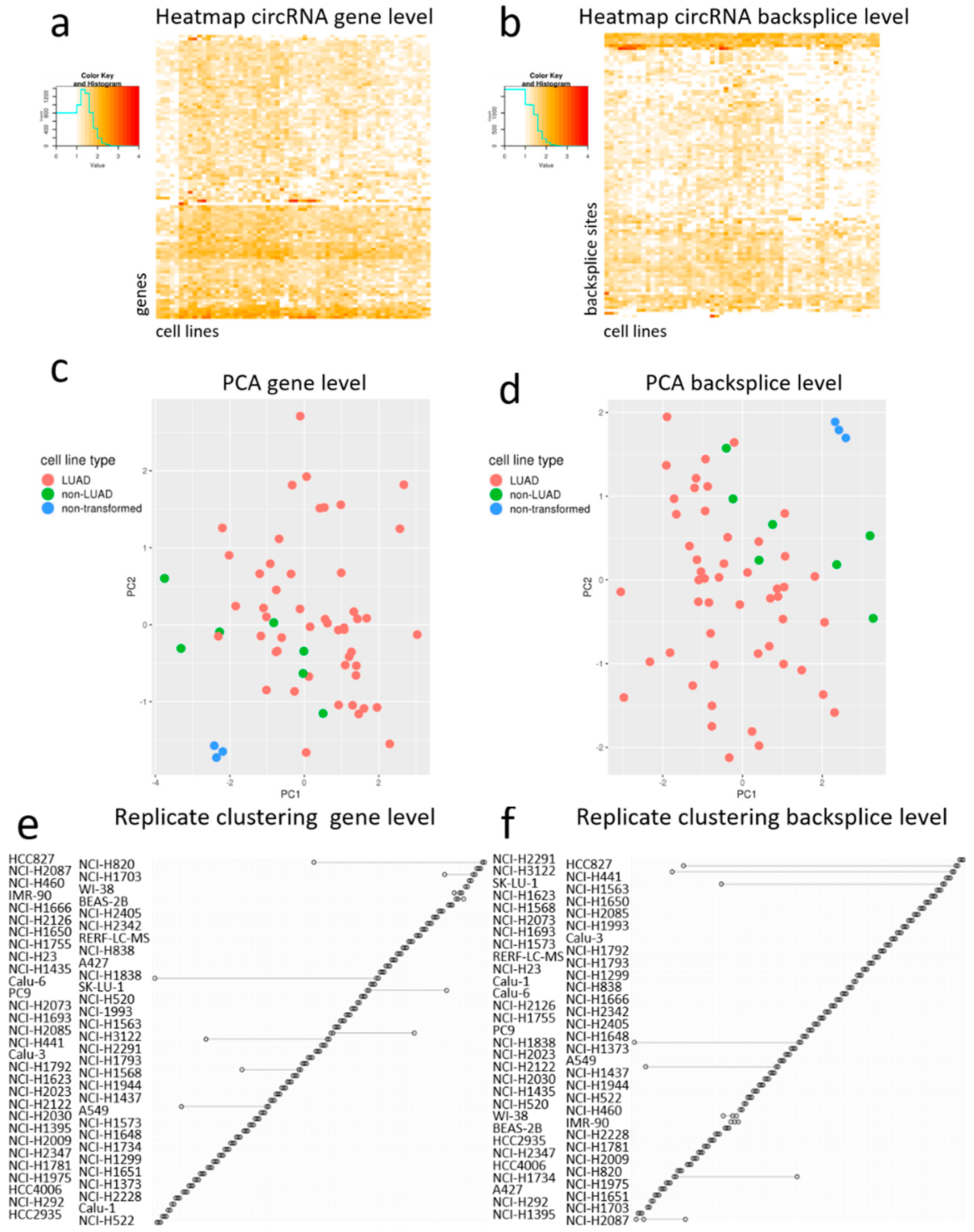 Cancers 12 01091 g004
