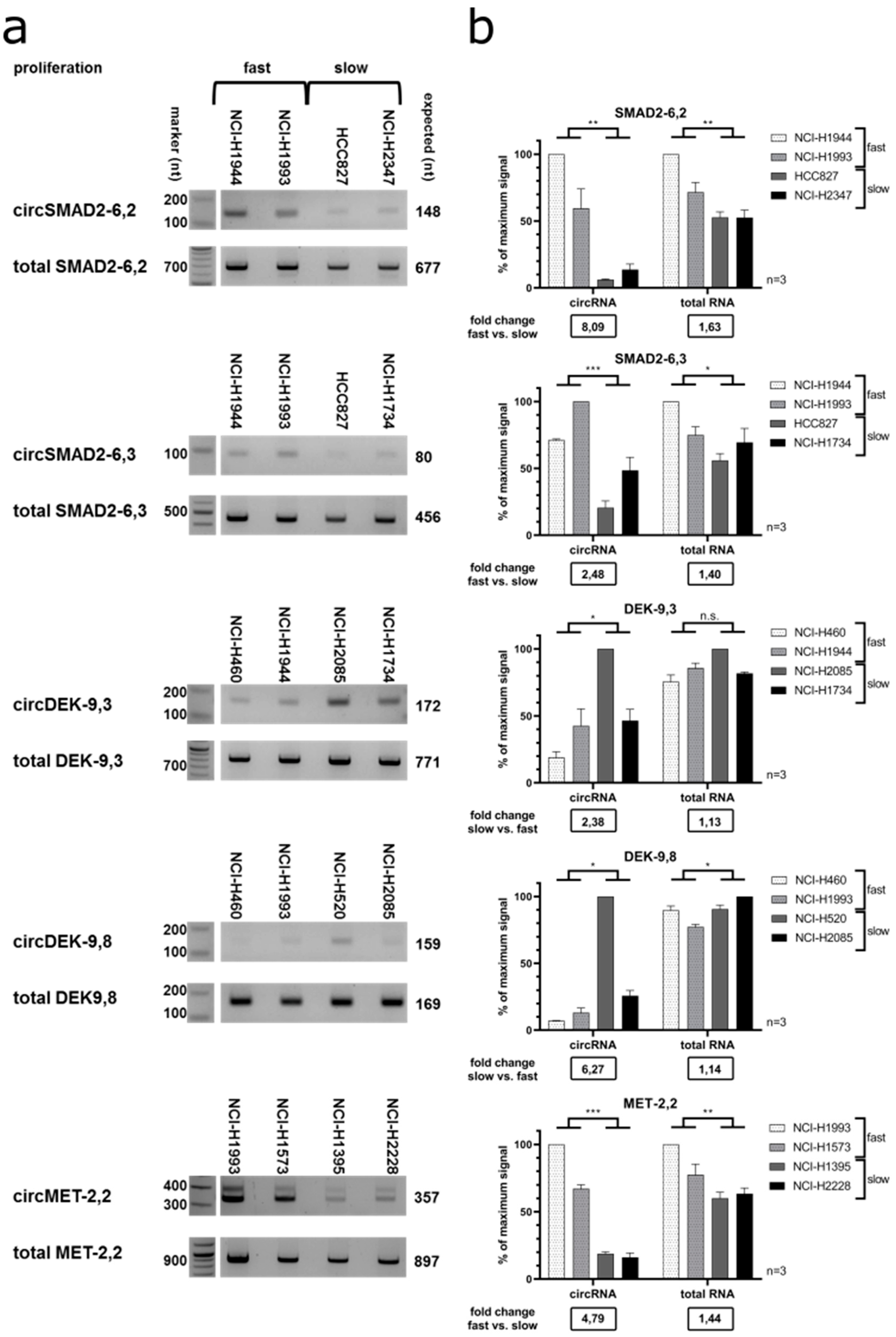 Cancers 12 01091 g008