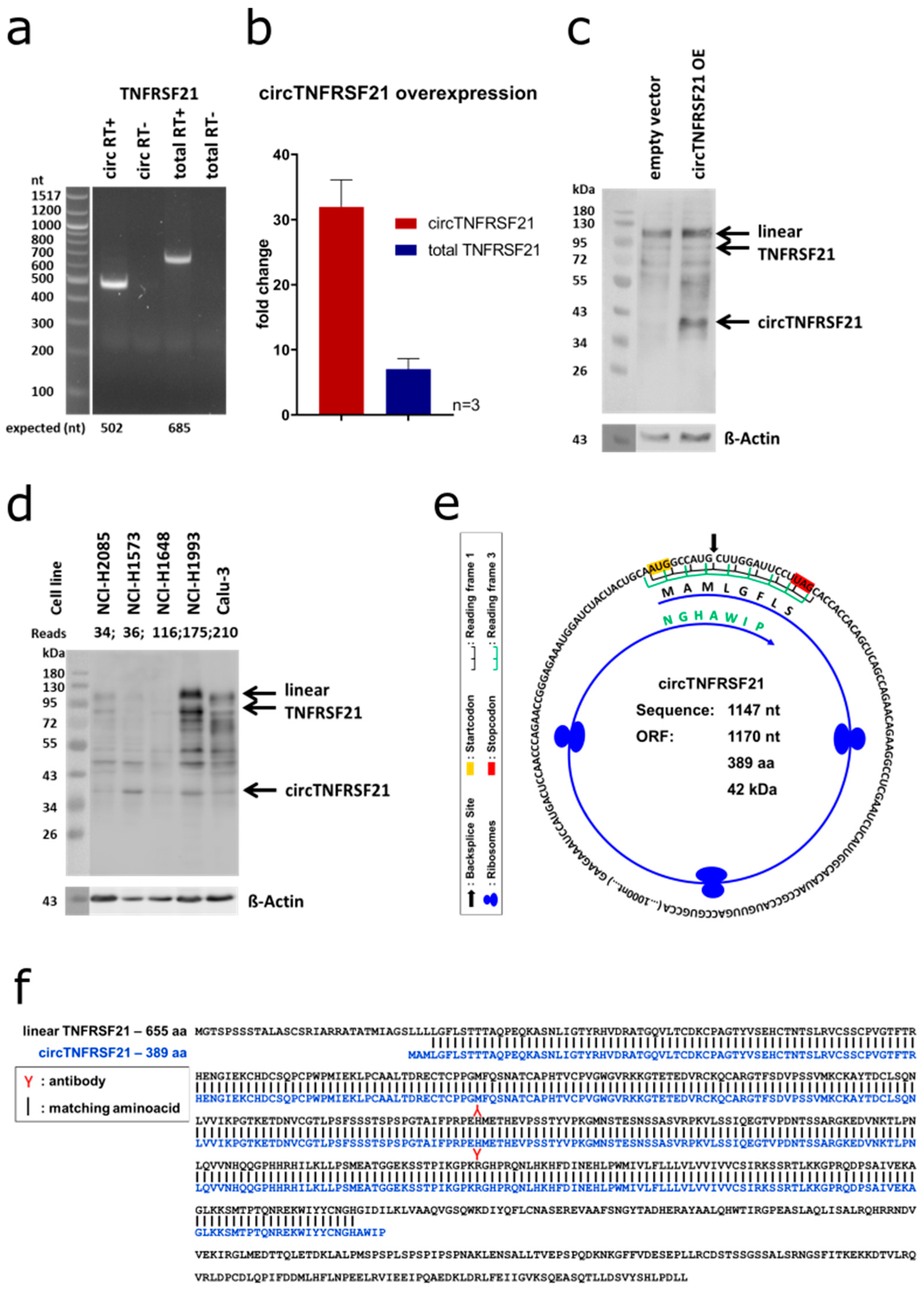 Cancers 12 01091 g011