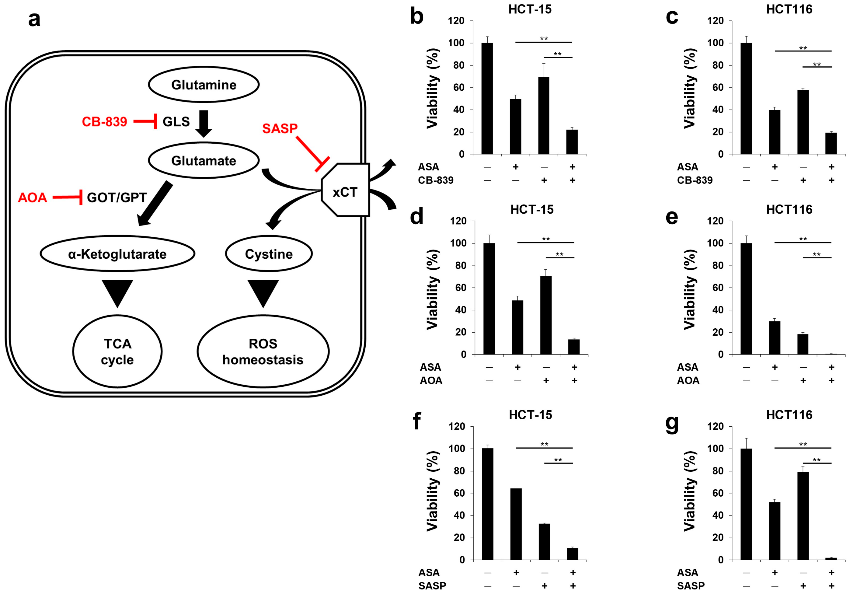 Cancers 12 01097 g005
