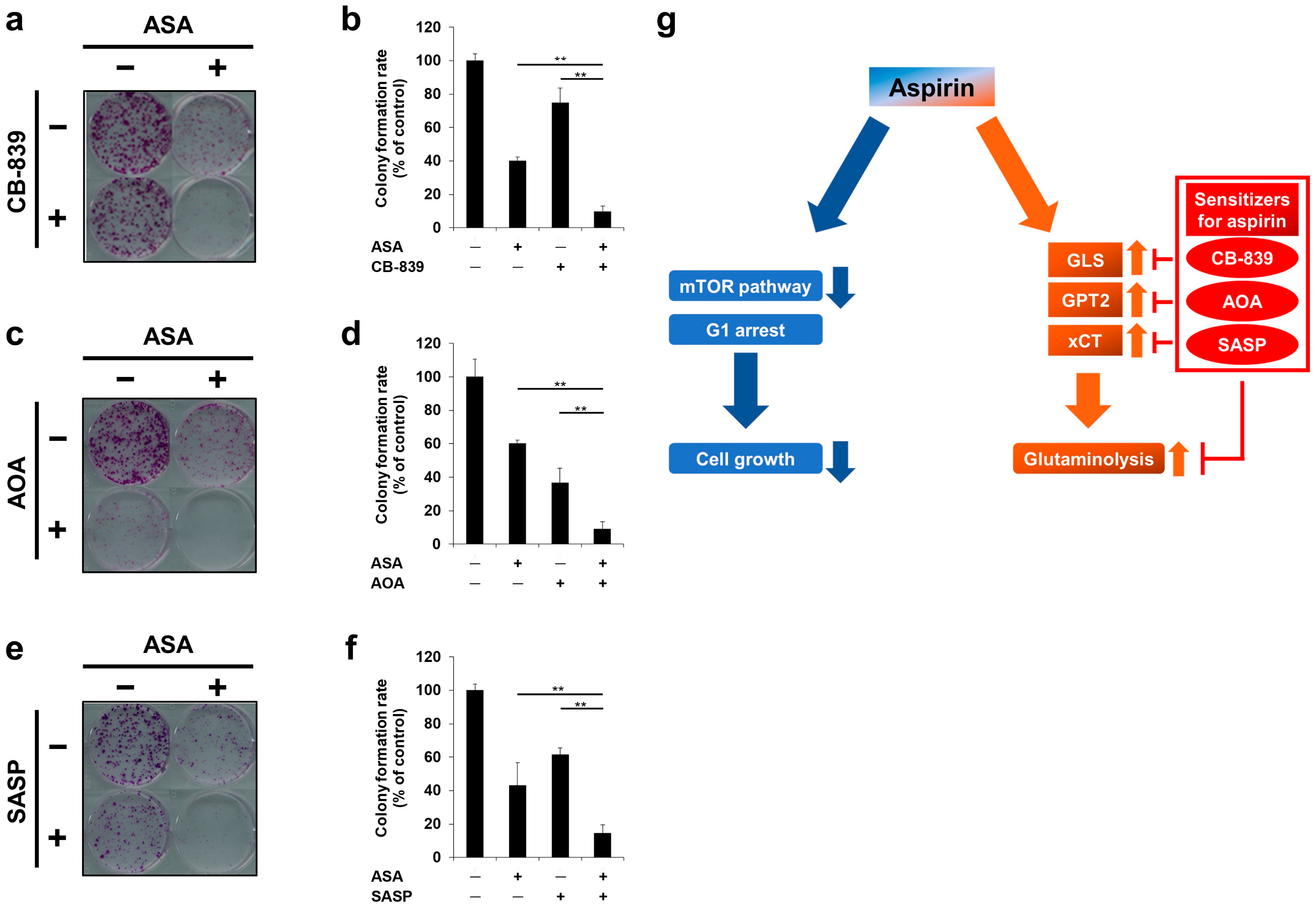 Cancers 12 01097 g006