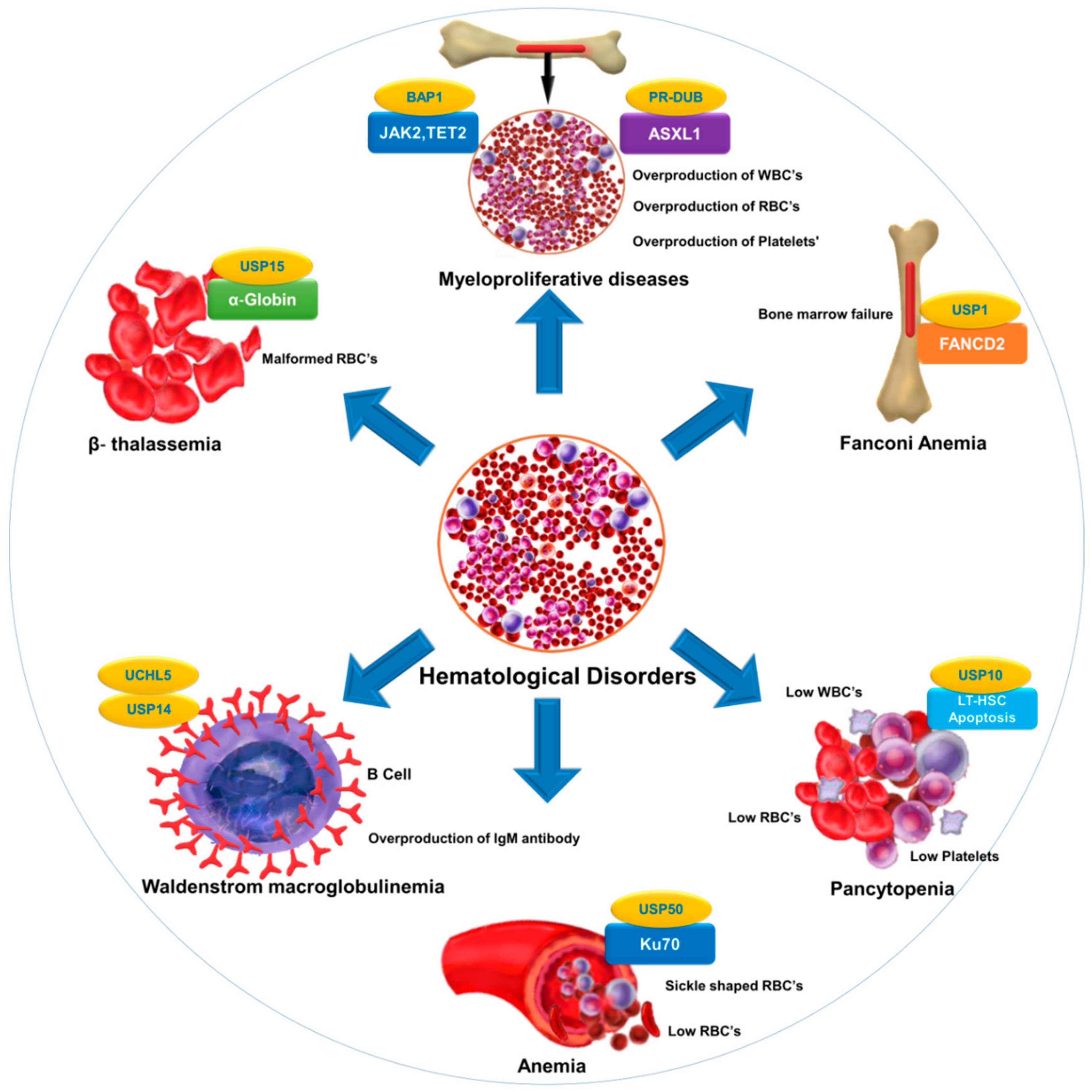 Cancers 12 01103 g002