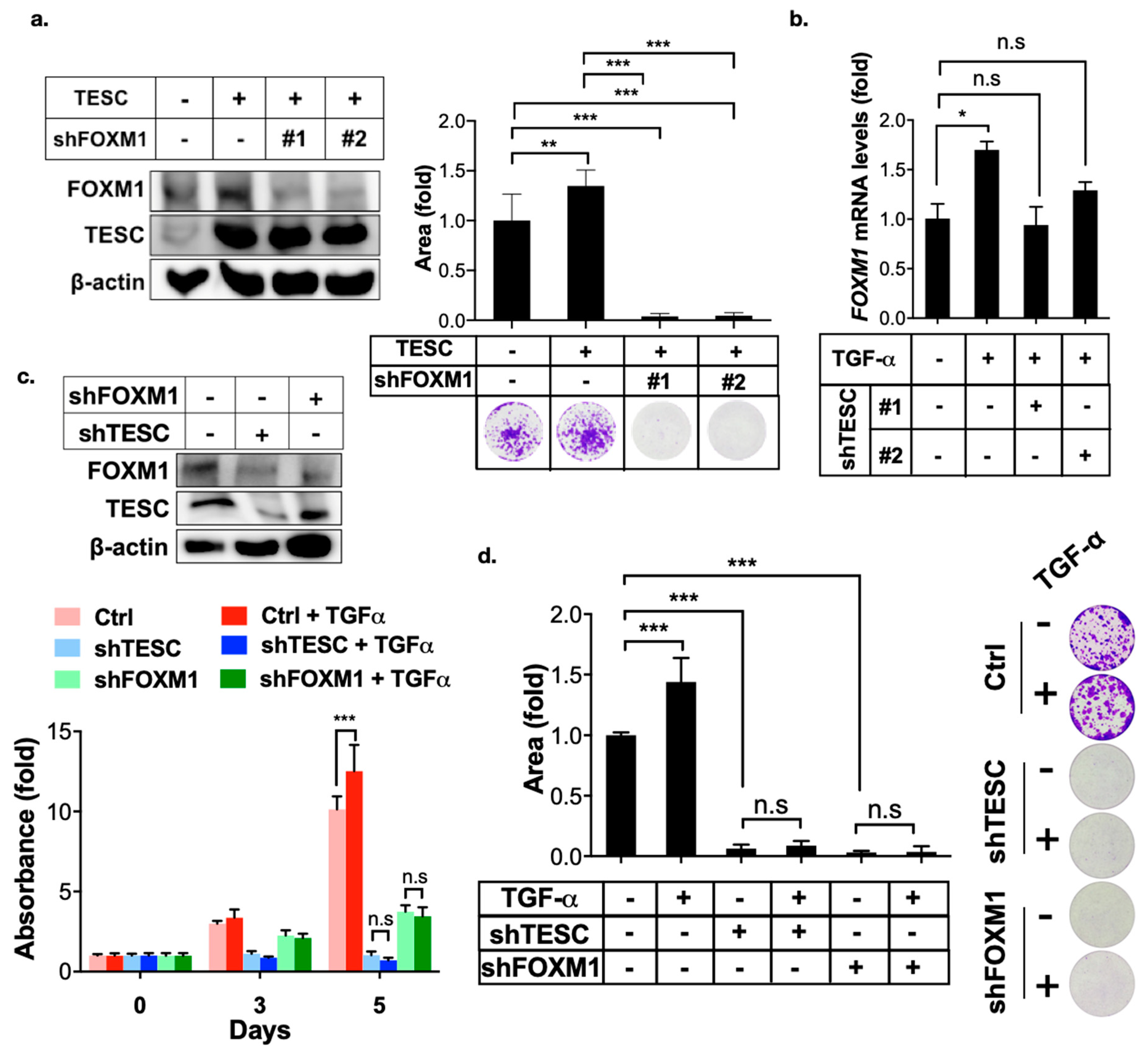 Cancers 12 01105 g006