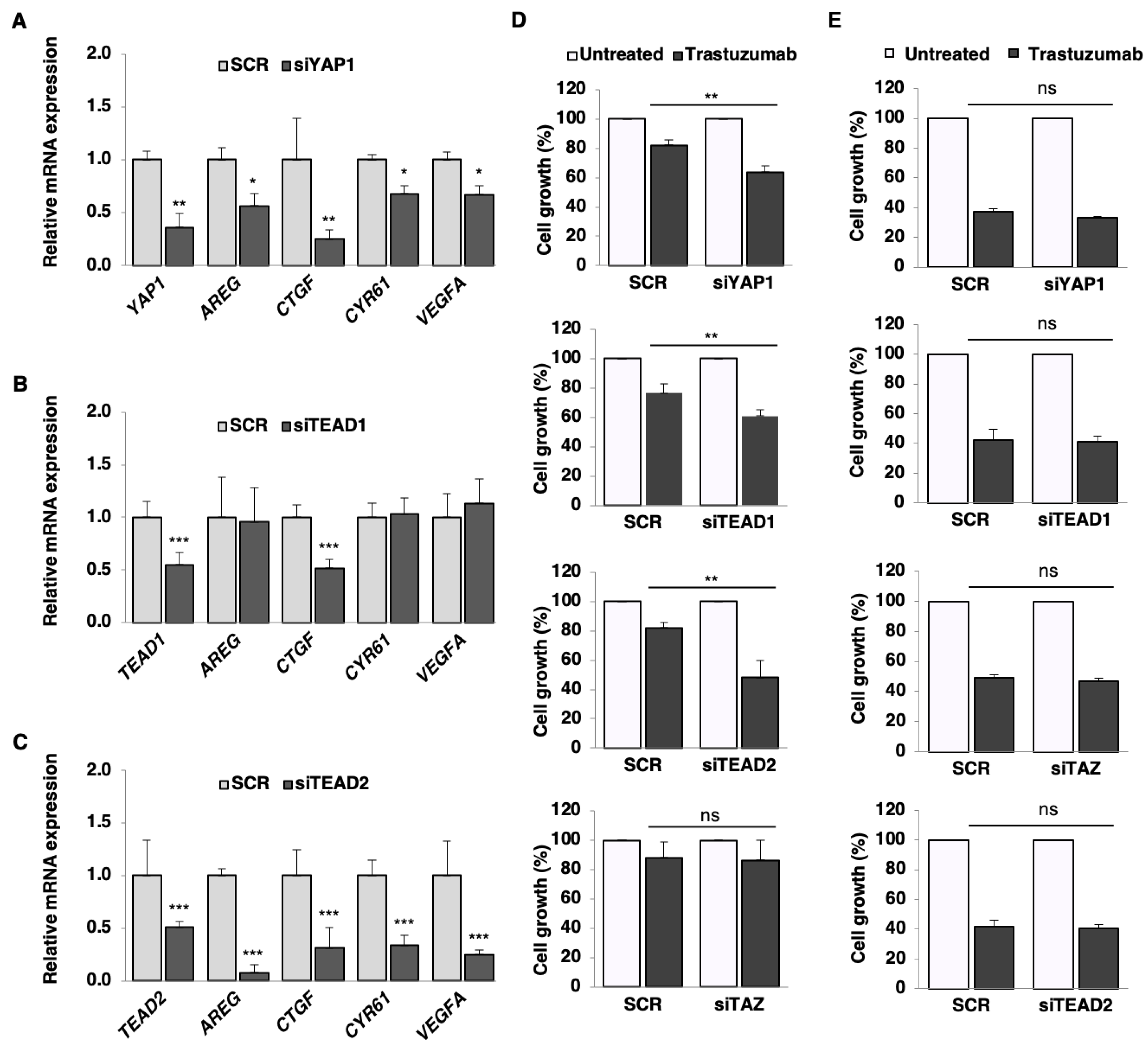 Cancers 12 01108 g005 Cancers 12 01108 g005