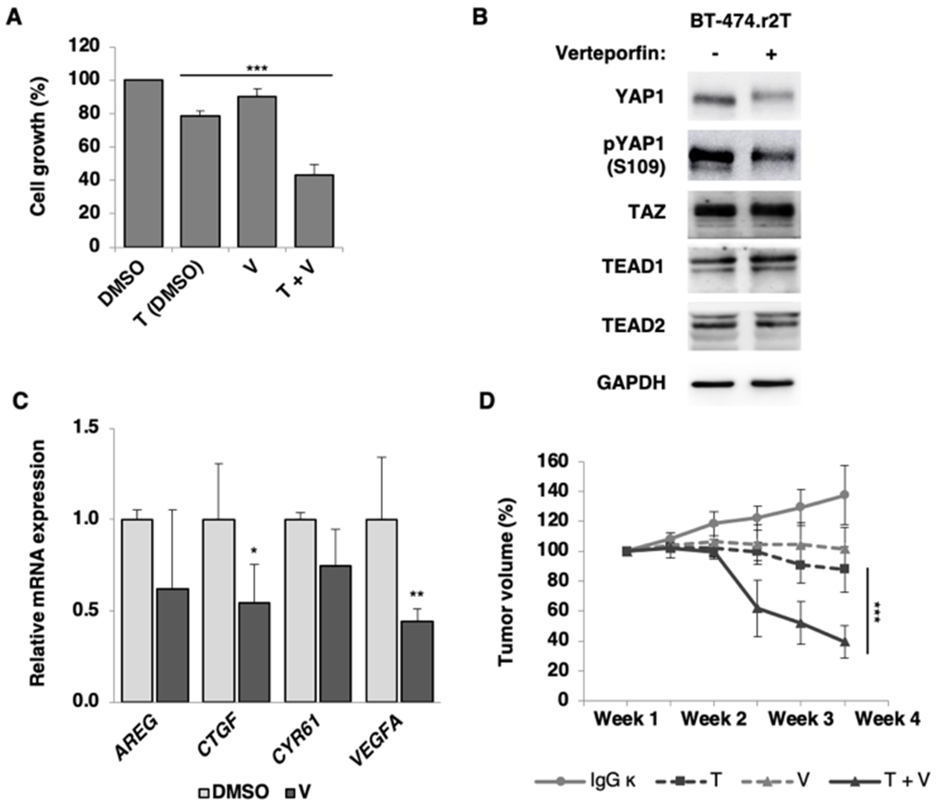 Cancers 12 01108 g006 Cancers 12 01108 g006