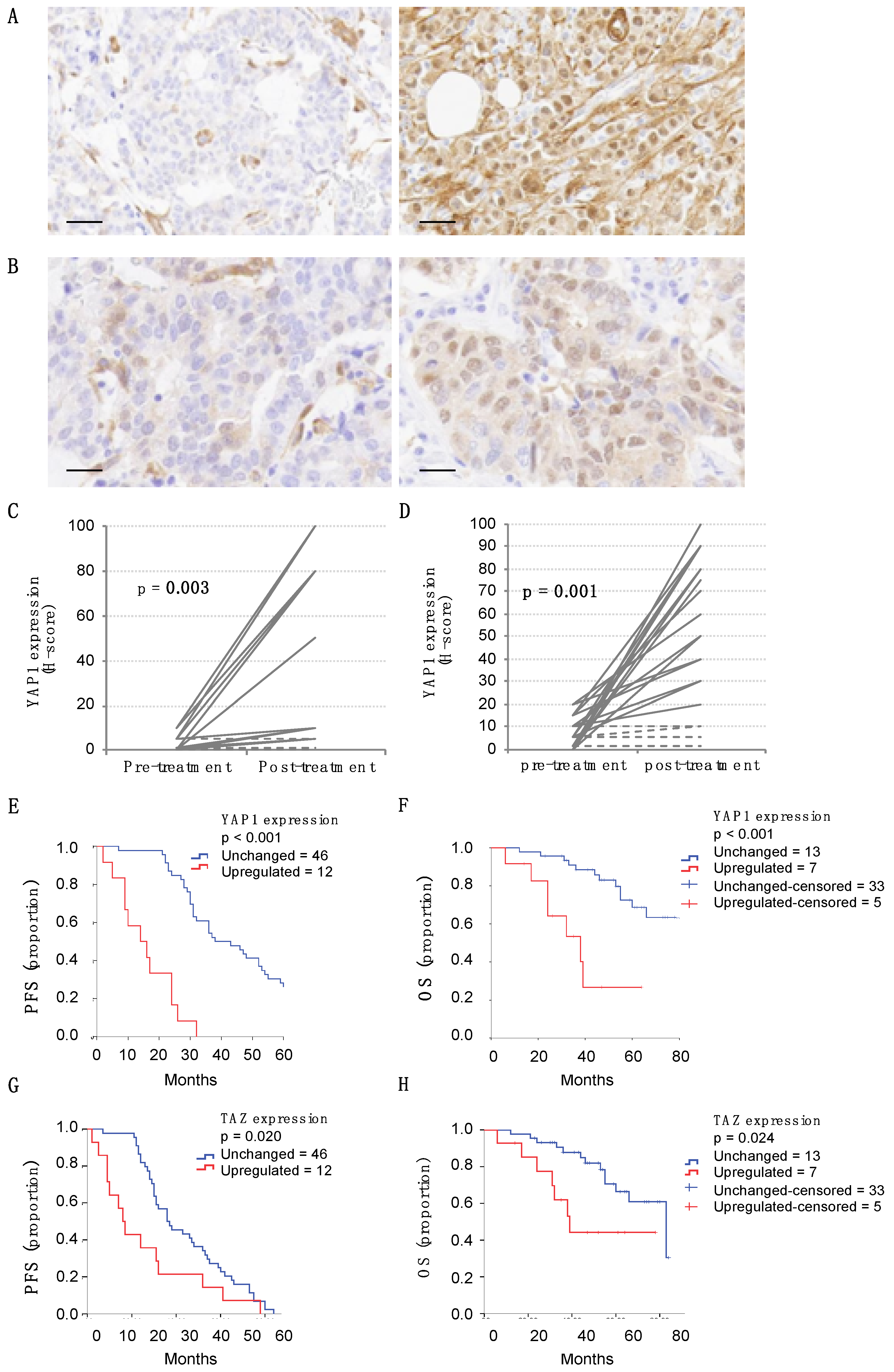 Cancers 12 01108 g007 Cancers 12 01108 g007