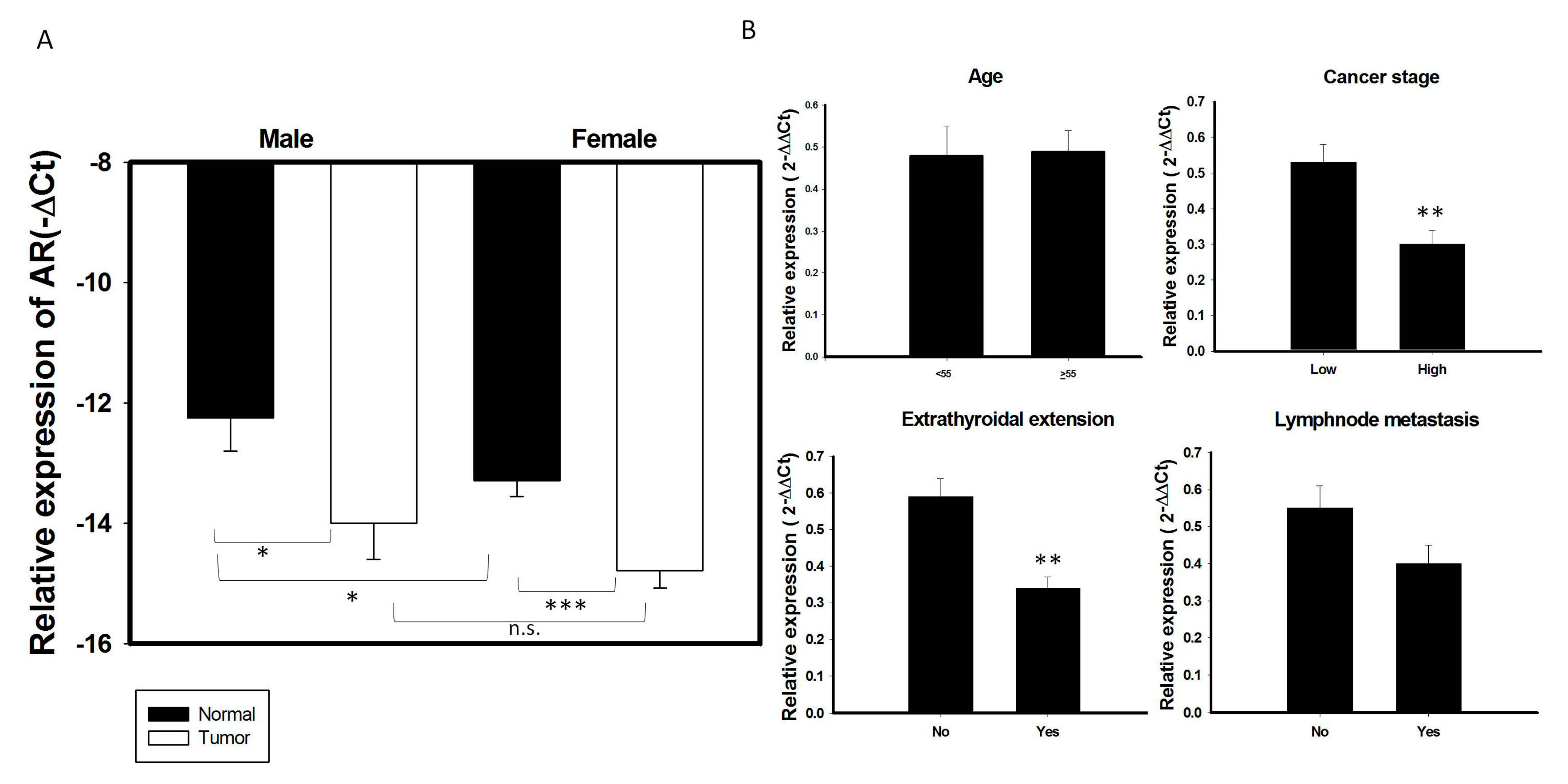 Cancers 12 01109 g002 Cancers 12 01109 g002