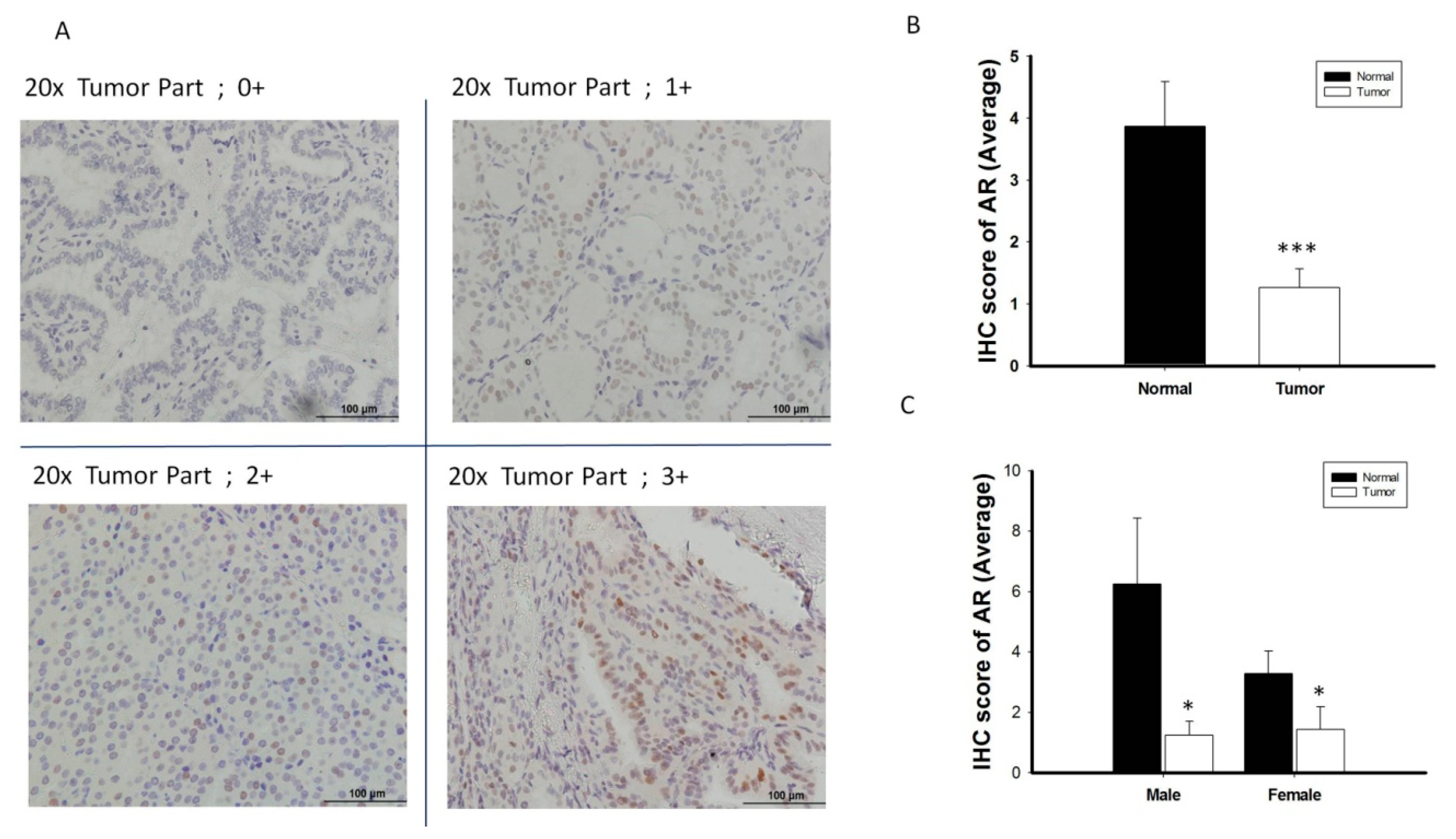 Cancers 12 01109 g003 Cancers 12 01109 g003