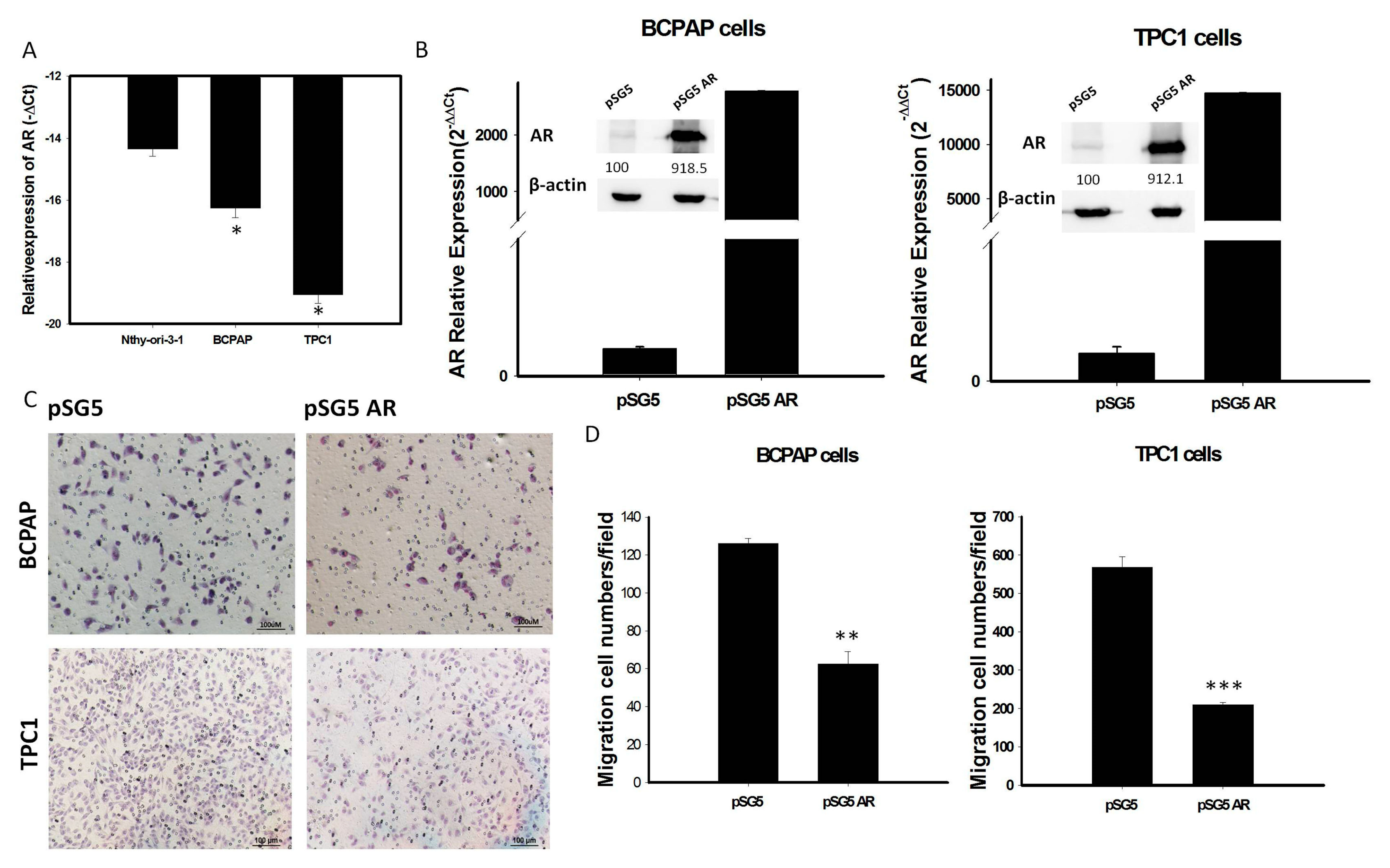 Cancers 12 01109 g004 Cancers 12 01109 g004