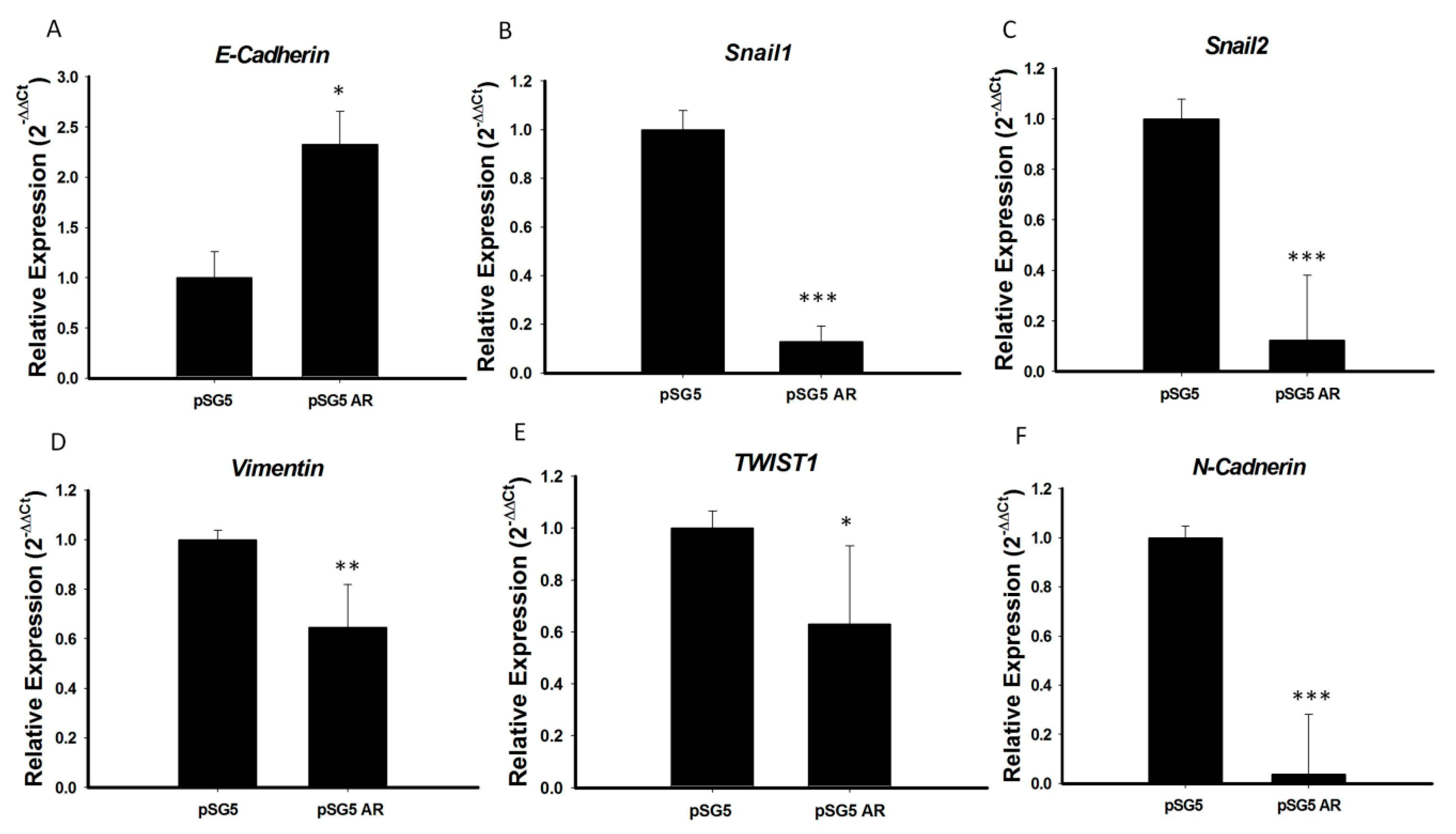 Cancers 12 01109 g005 Cancers 12 01109 g005