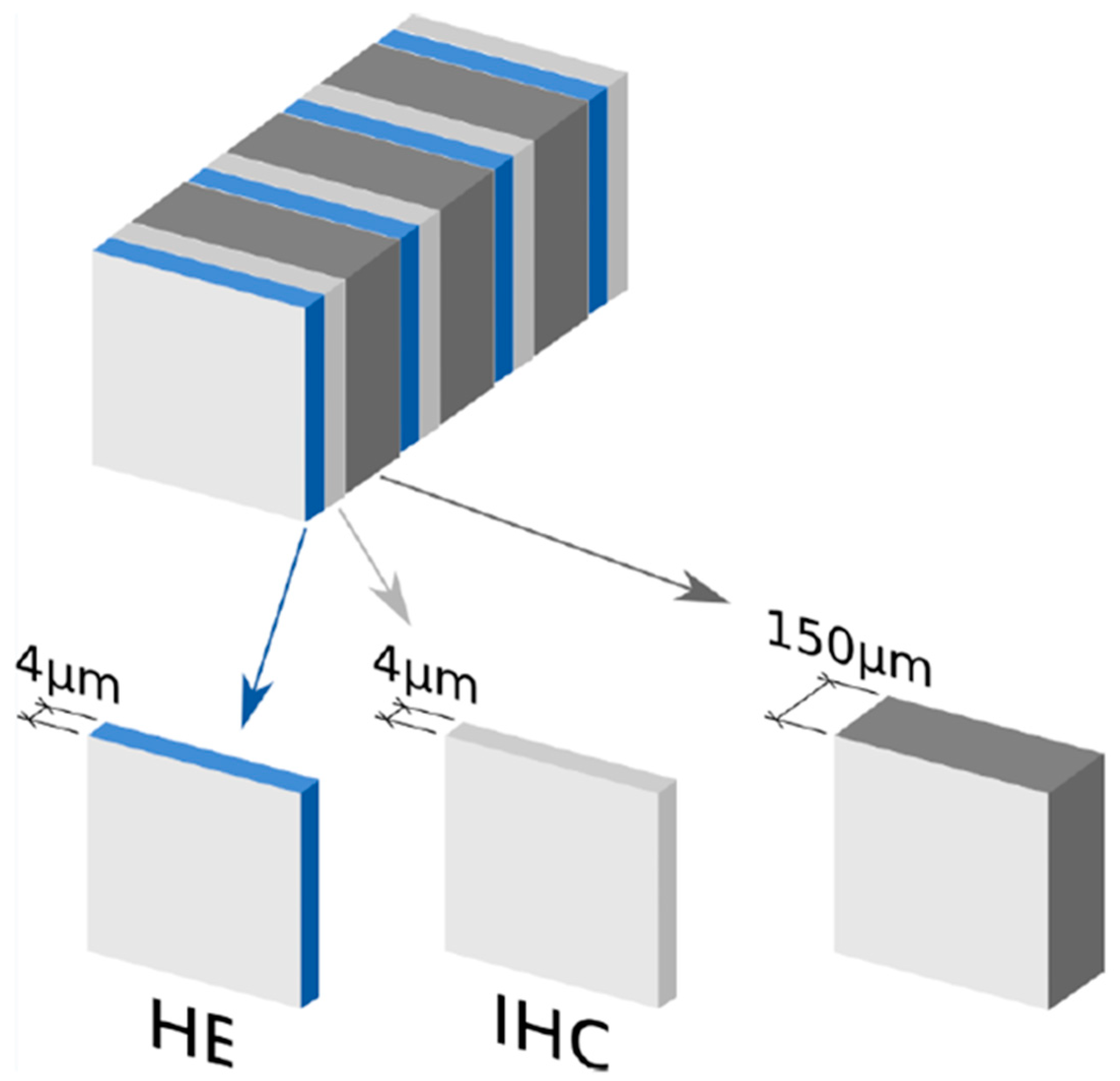 Cancers 12 01115 g003 Cancers 12 01115 g003
