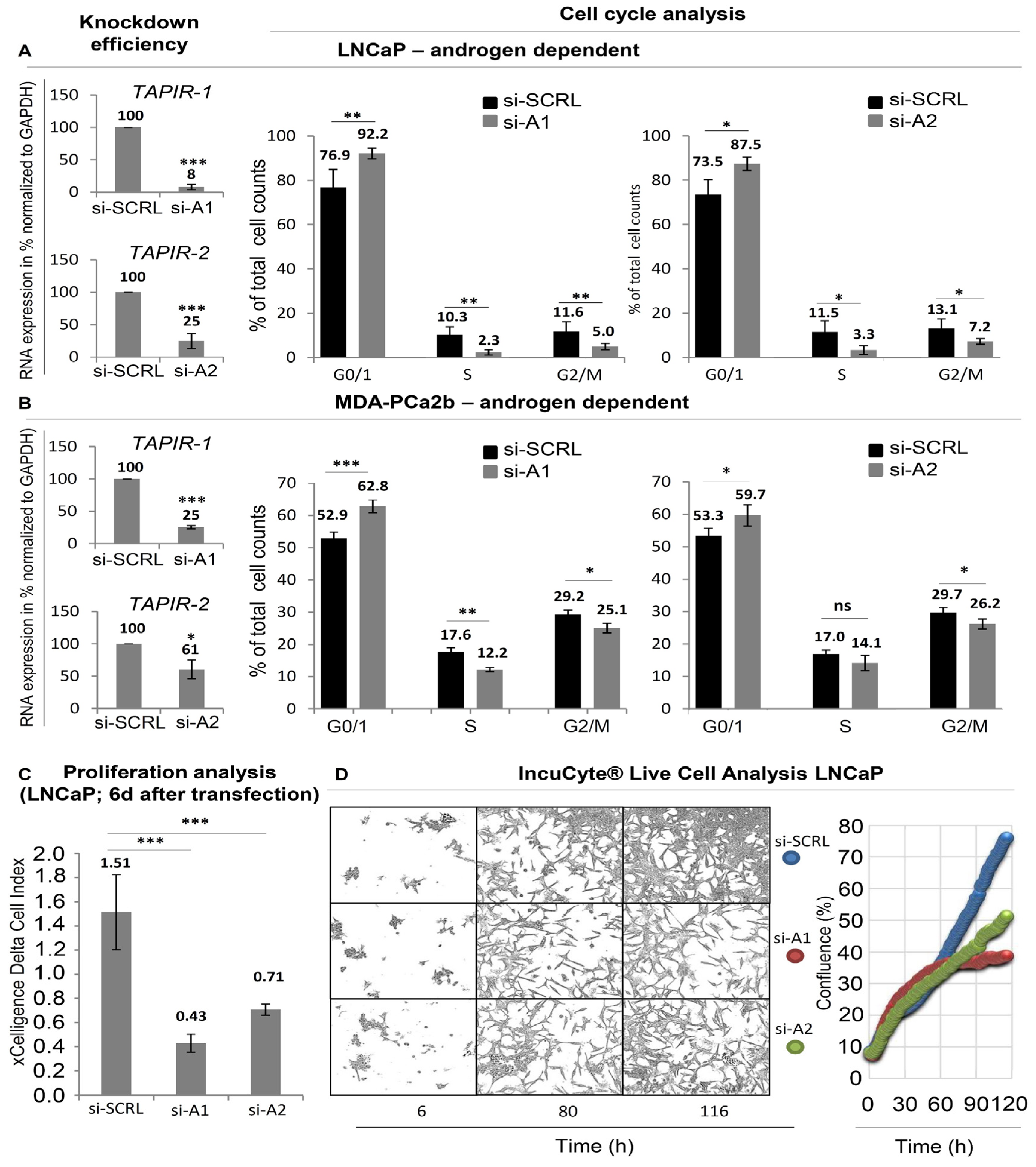 Cancers 12 01122 g003