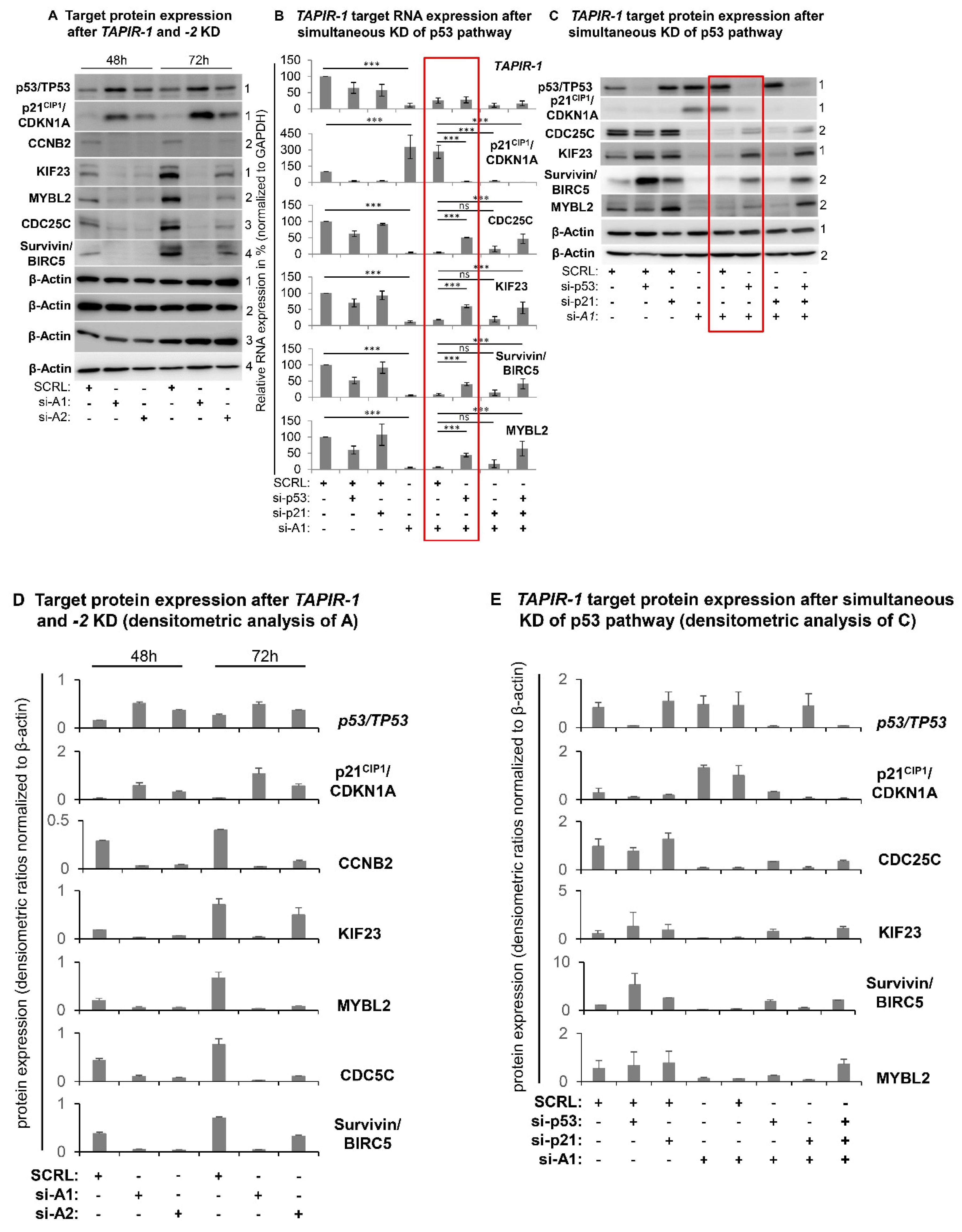 Cancers 12 01122 g005