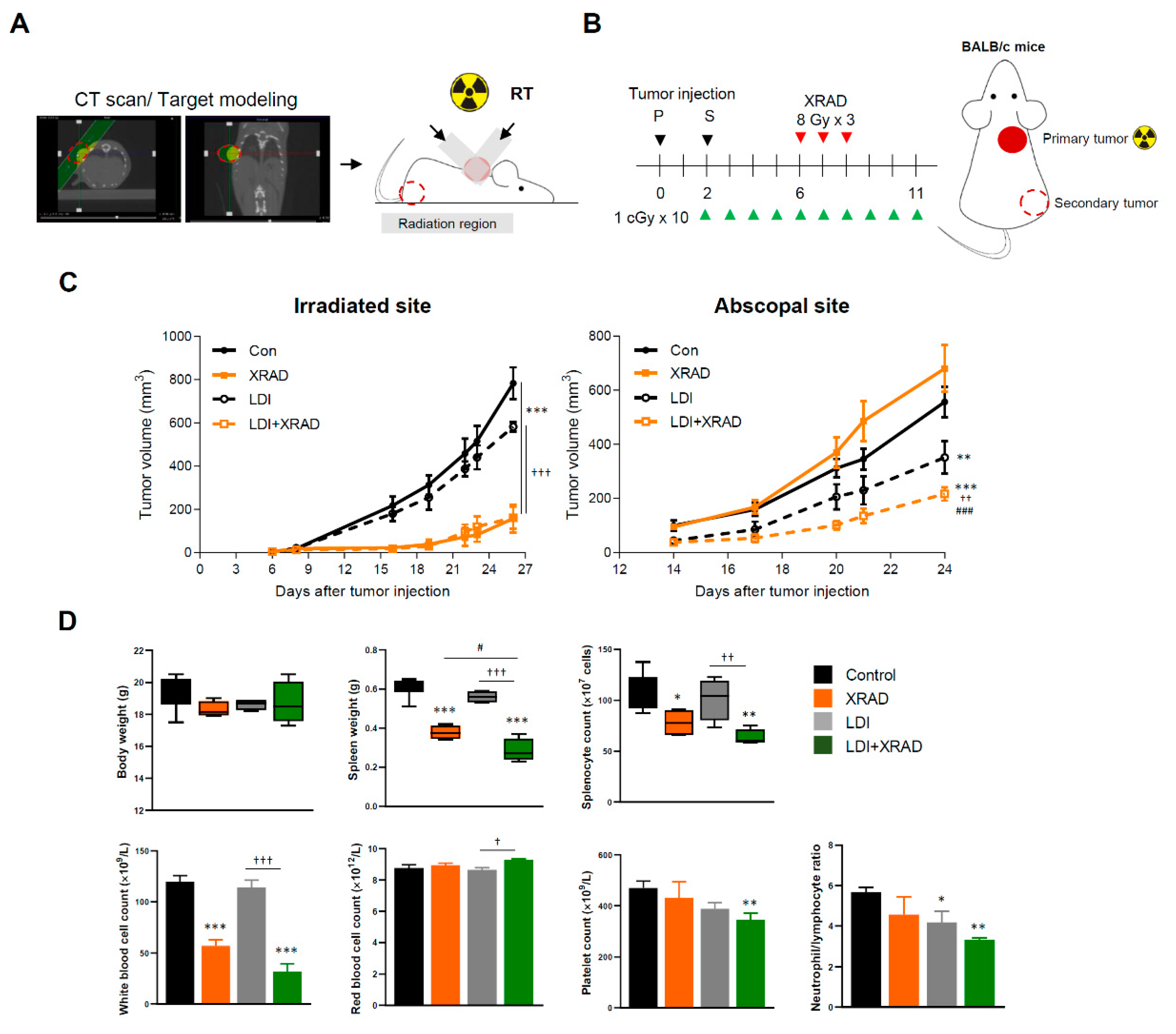 Cancers 12 01126 g003