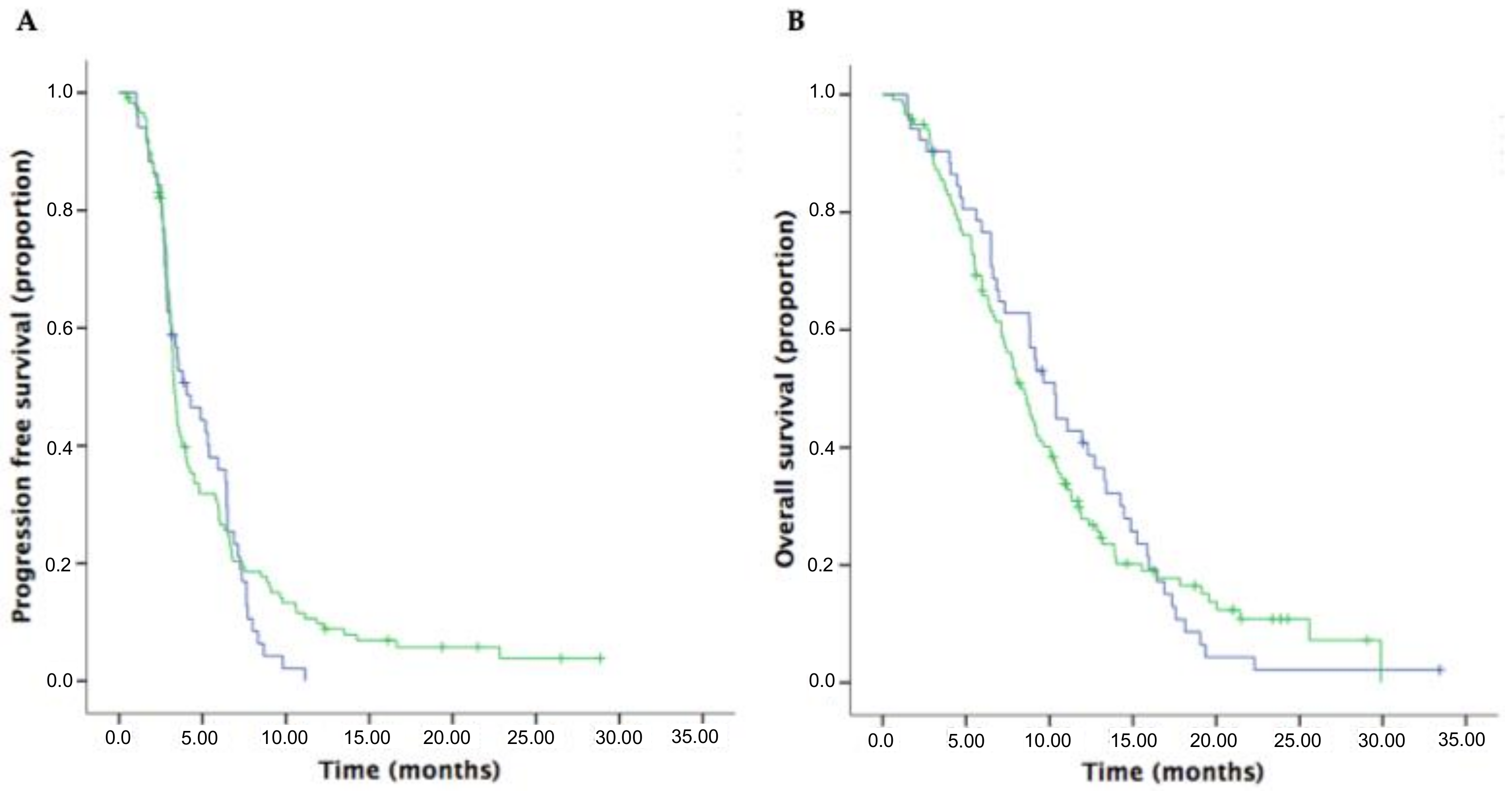 Cancers 12 01131 g003 Cancers 12 01131 g003