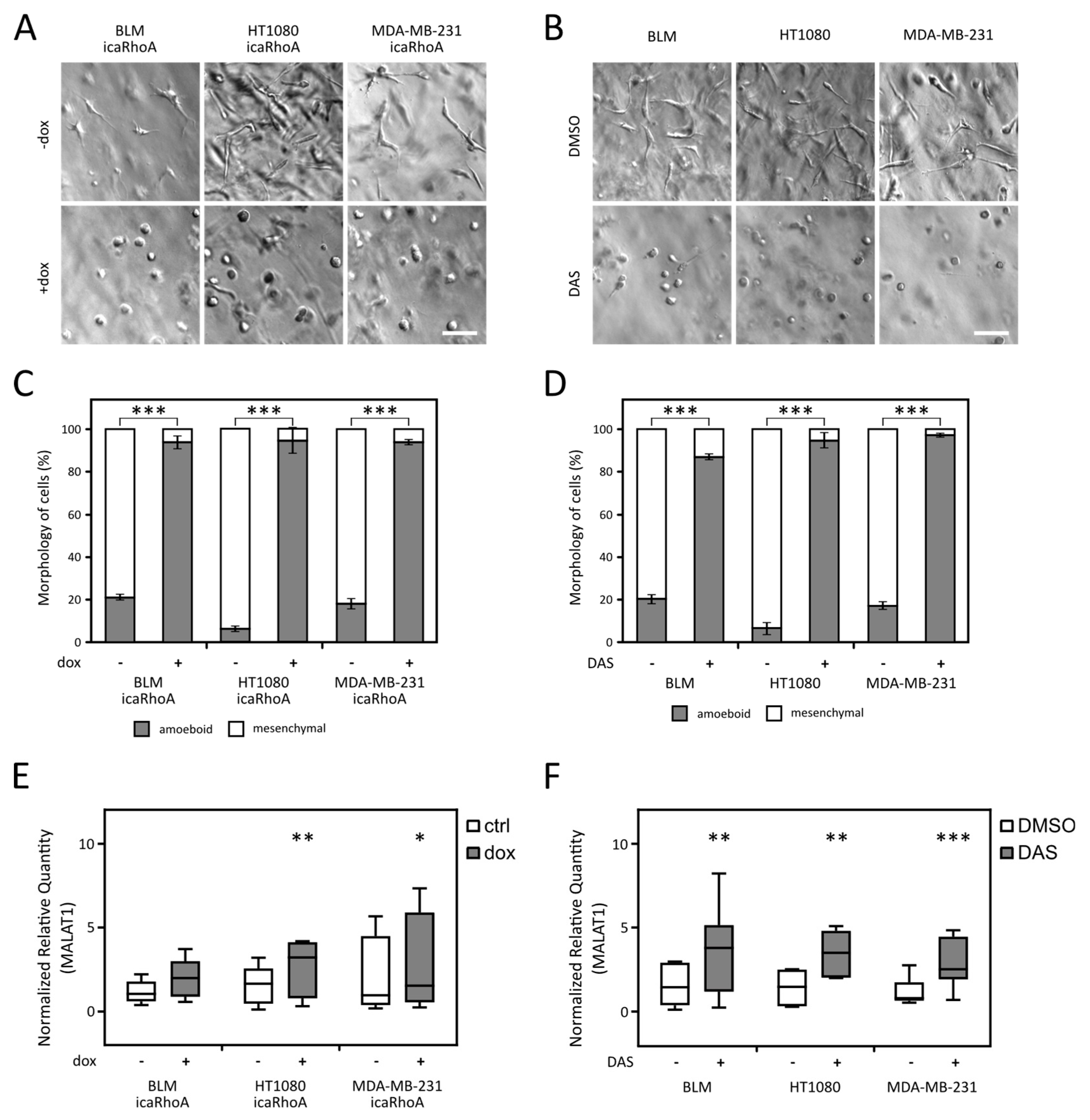 Cancers 12 01136 g002 Cancers 12 01136 g002