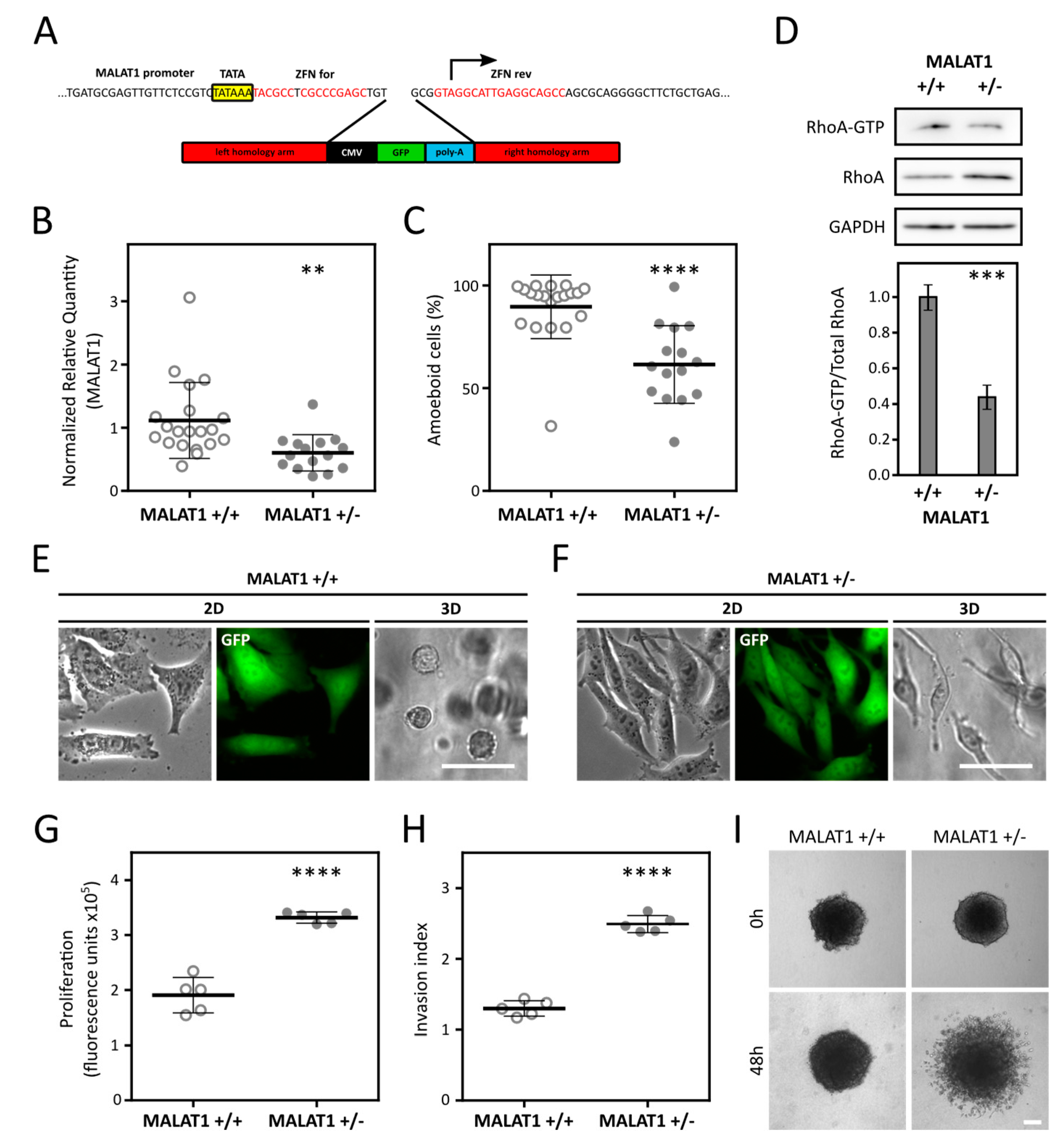 Cancers 12 01136 g003 Cancers 12 01136 g003