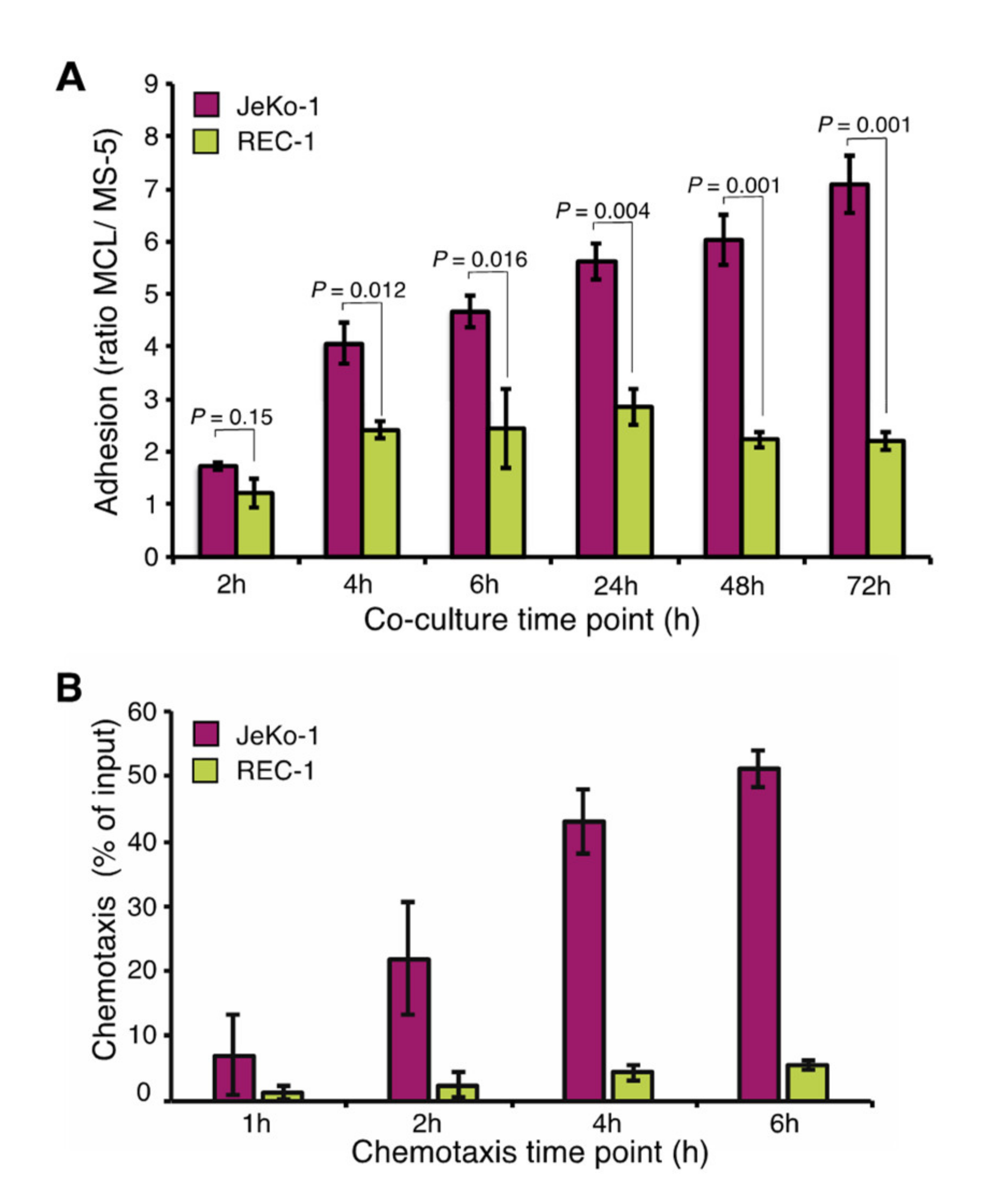 Cancers 12 01143 g001 Cancers 12 01143 g001