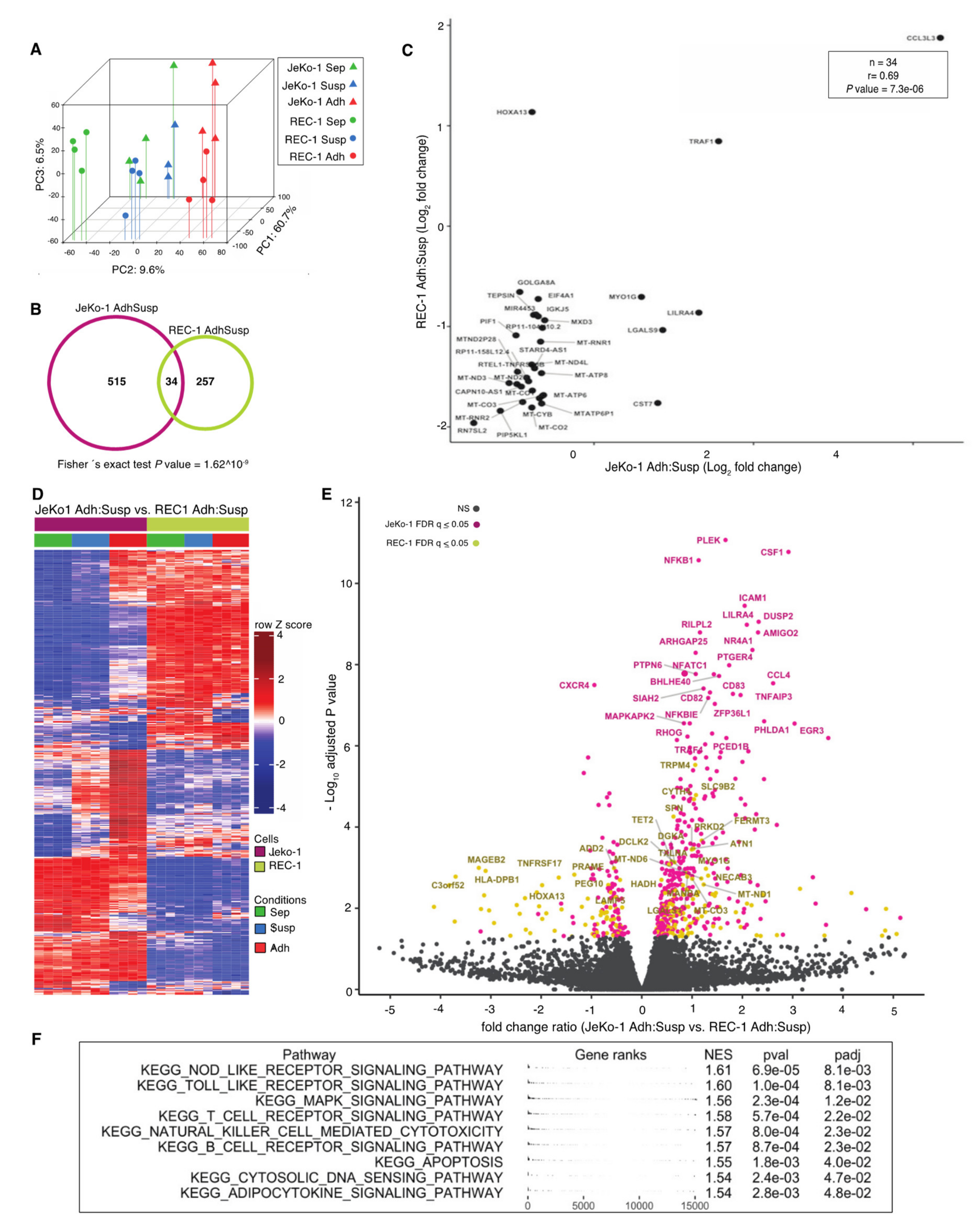 Cancers 12 01143 g002 Cancers 12 01143 g002