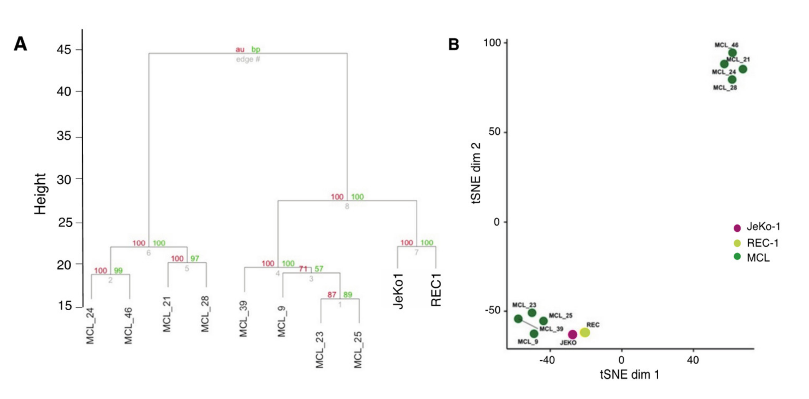 Cancers 12 01143 g003 Cancers 12 01143 g003